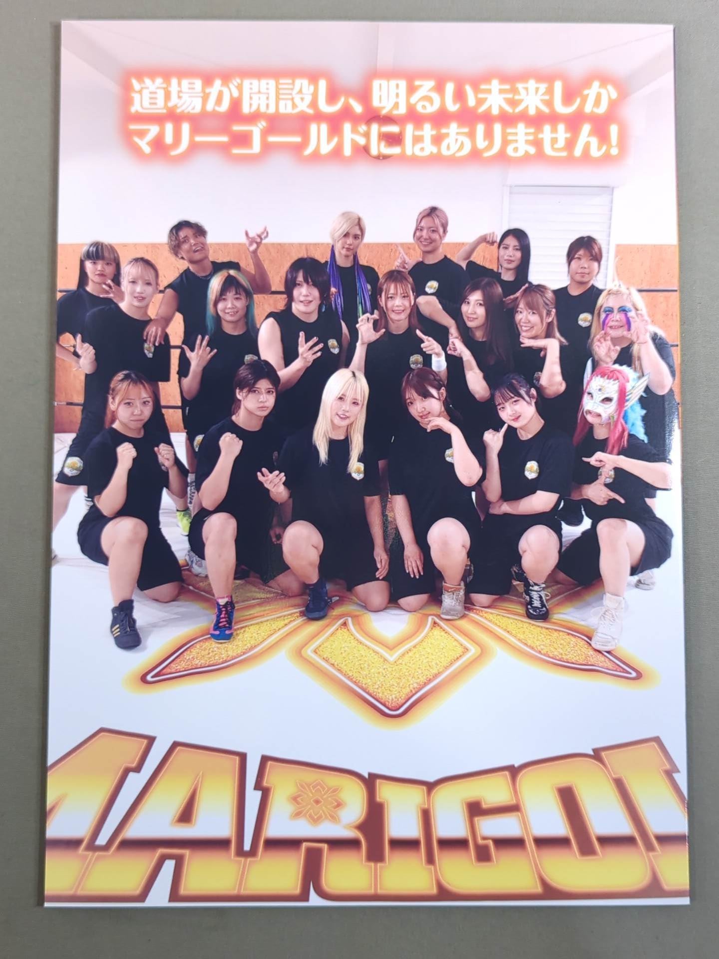 MARIGOLD GUIDE BOOK Vol.13