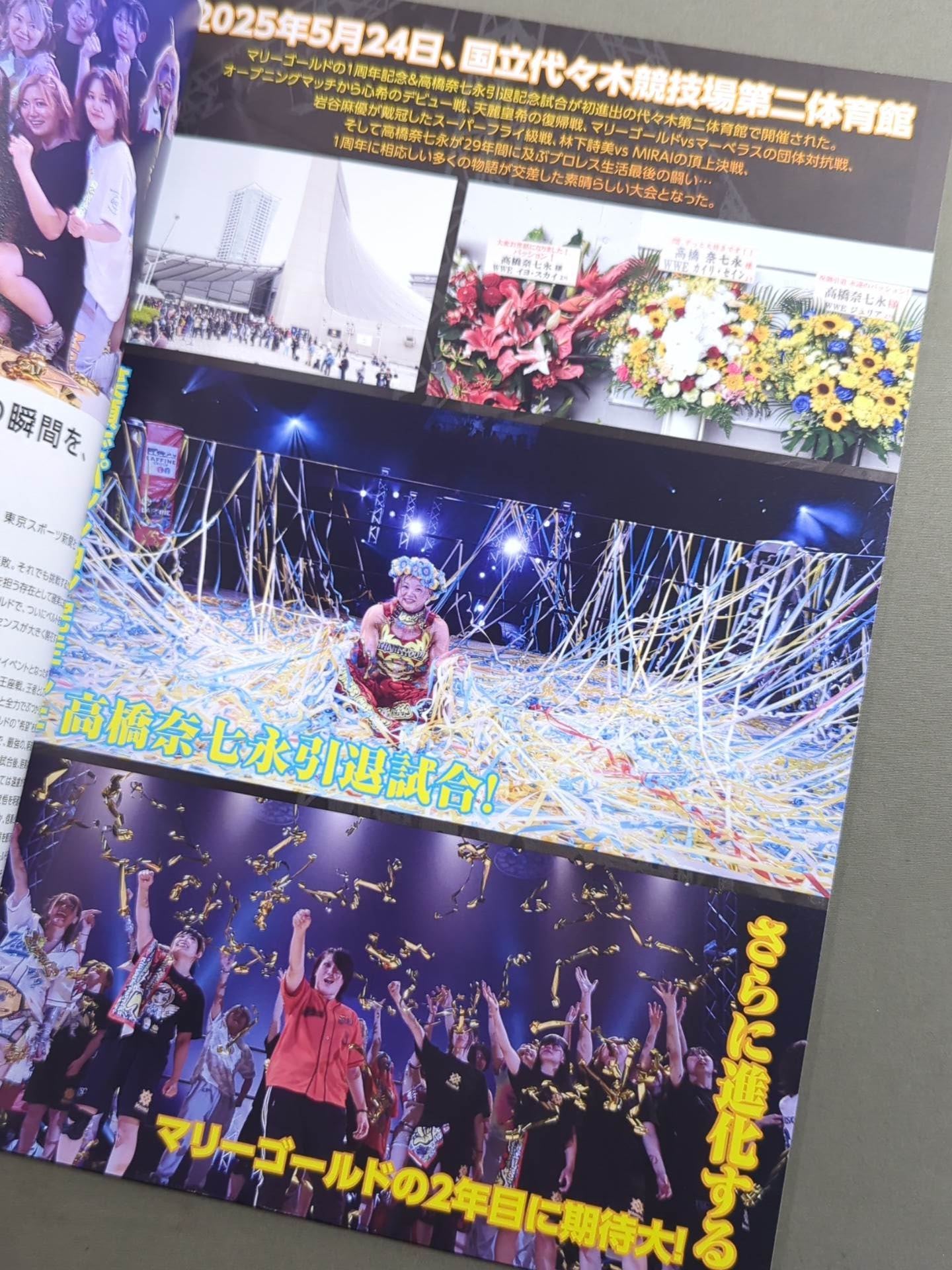 MARIGOLD GUIDE BOOK Vol.12