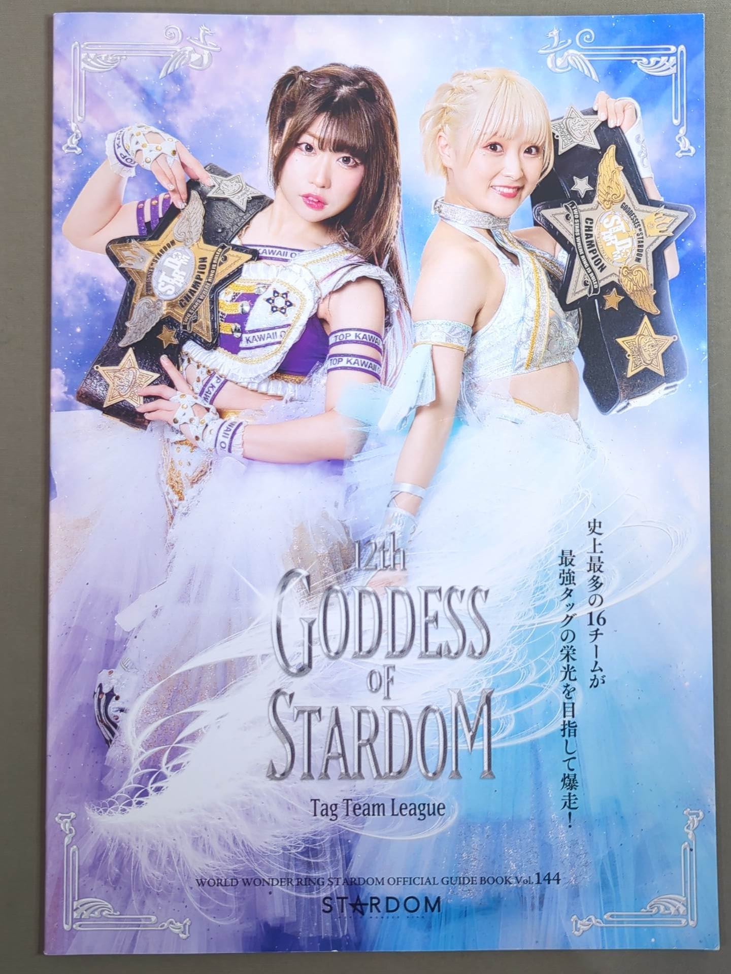 STARDOM OFFICIAL GUIDE BOOK Vol.144