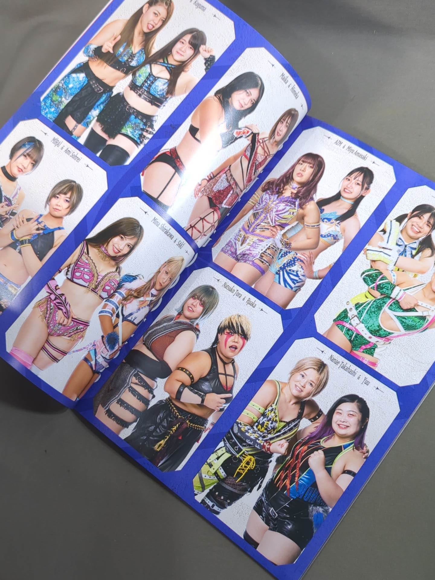 STARDOM OFFICIAL GUIDE BOOK Vol.144