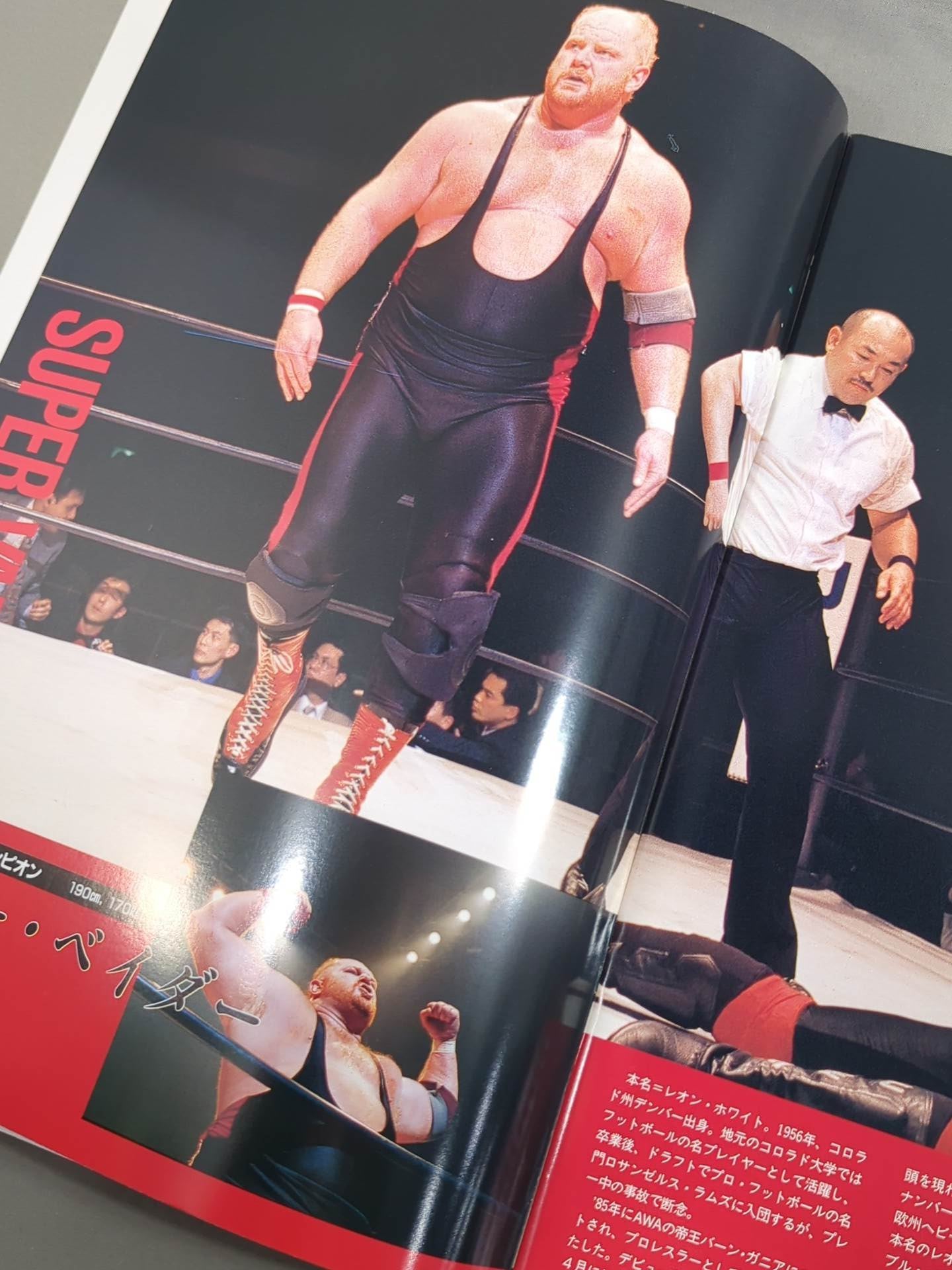 ★ベイダーvs山崎一夫★ THE FIGHT OF CHAMPIONS(1993.8.13)