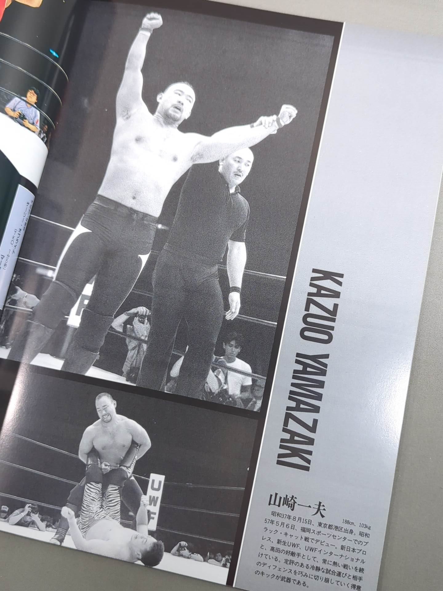 ★ベイダーvs山崎一夫★ THE FIGHT OF CHAMPIONS(1993.8.13)