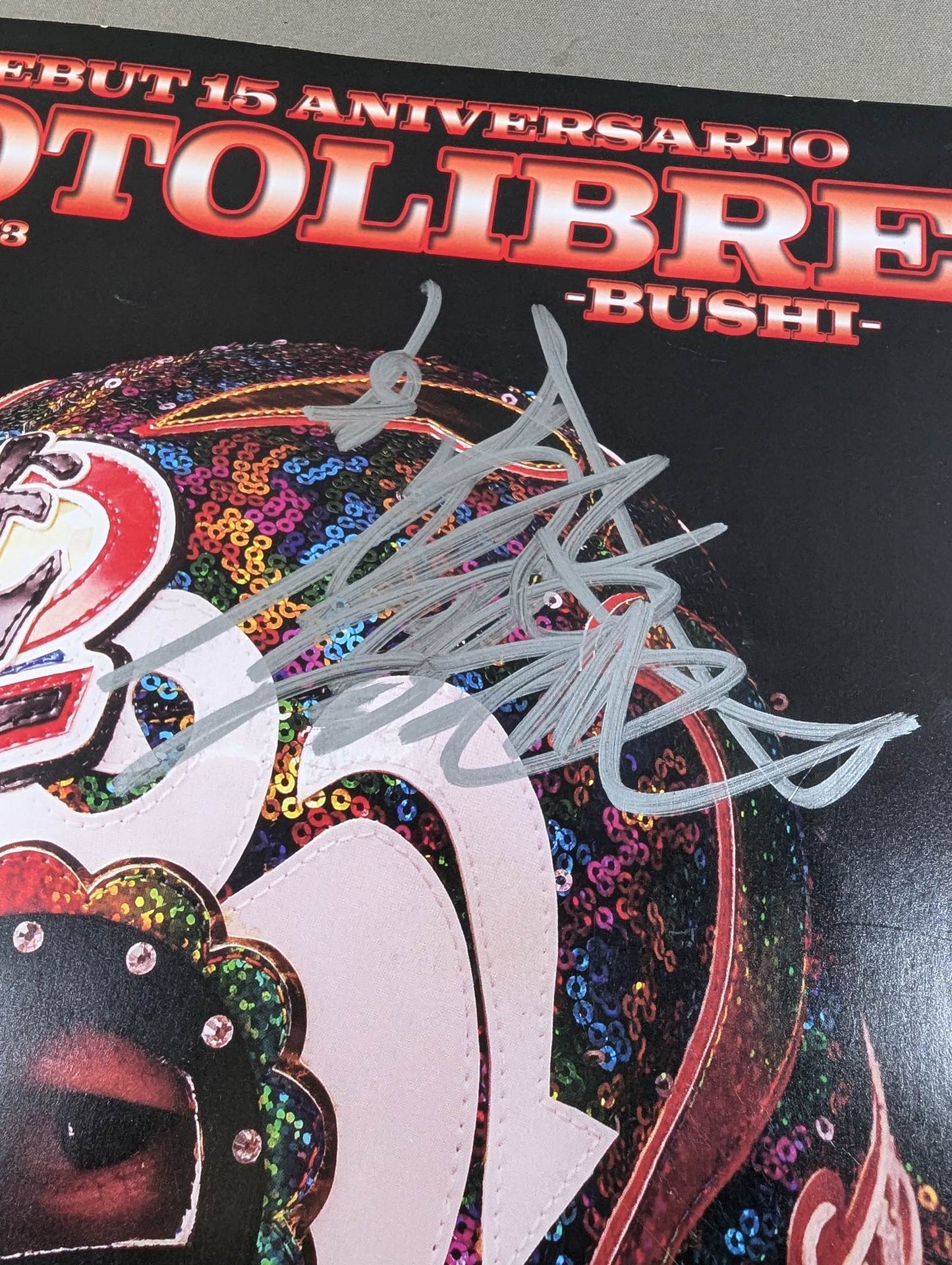 【BUSHI 直筆サイン入り】FOTOLIBRE de Mascara Numero.73