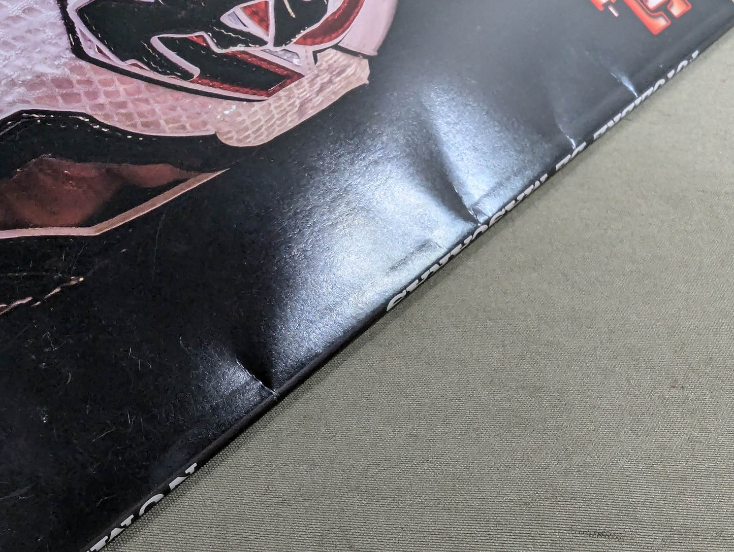 【BUSHI 直筆サイン入り】FOTOLIBRE de Mascara Numero.73