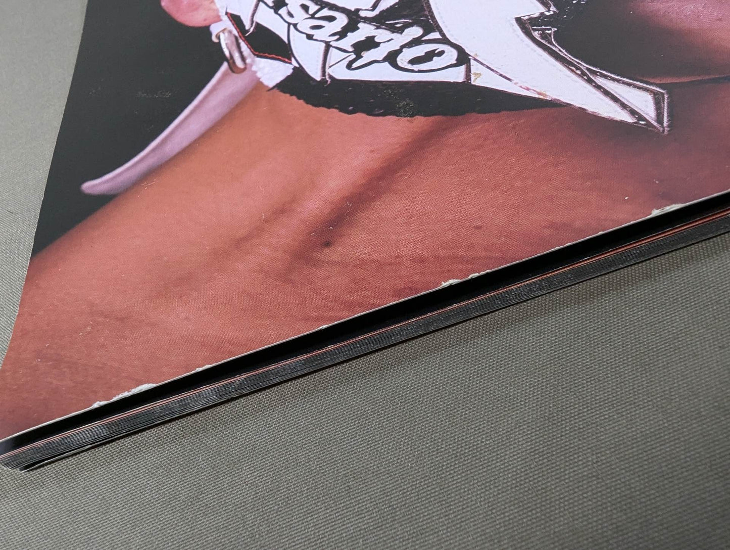【BUSHI 直筆サイン入り】FOTOLIBRE de Mascara Numero.73