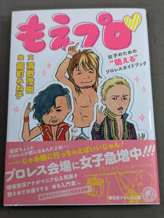 Moe Pro Pro Wrestling  Guidebook for Girls