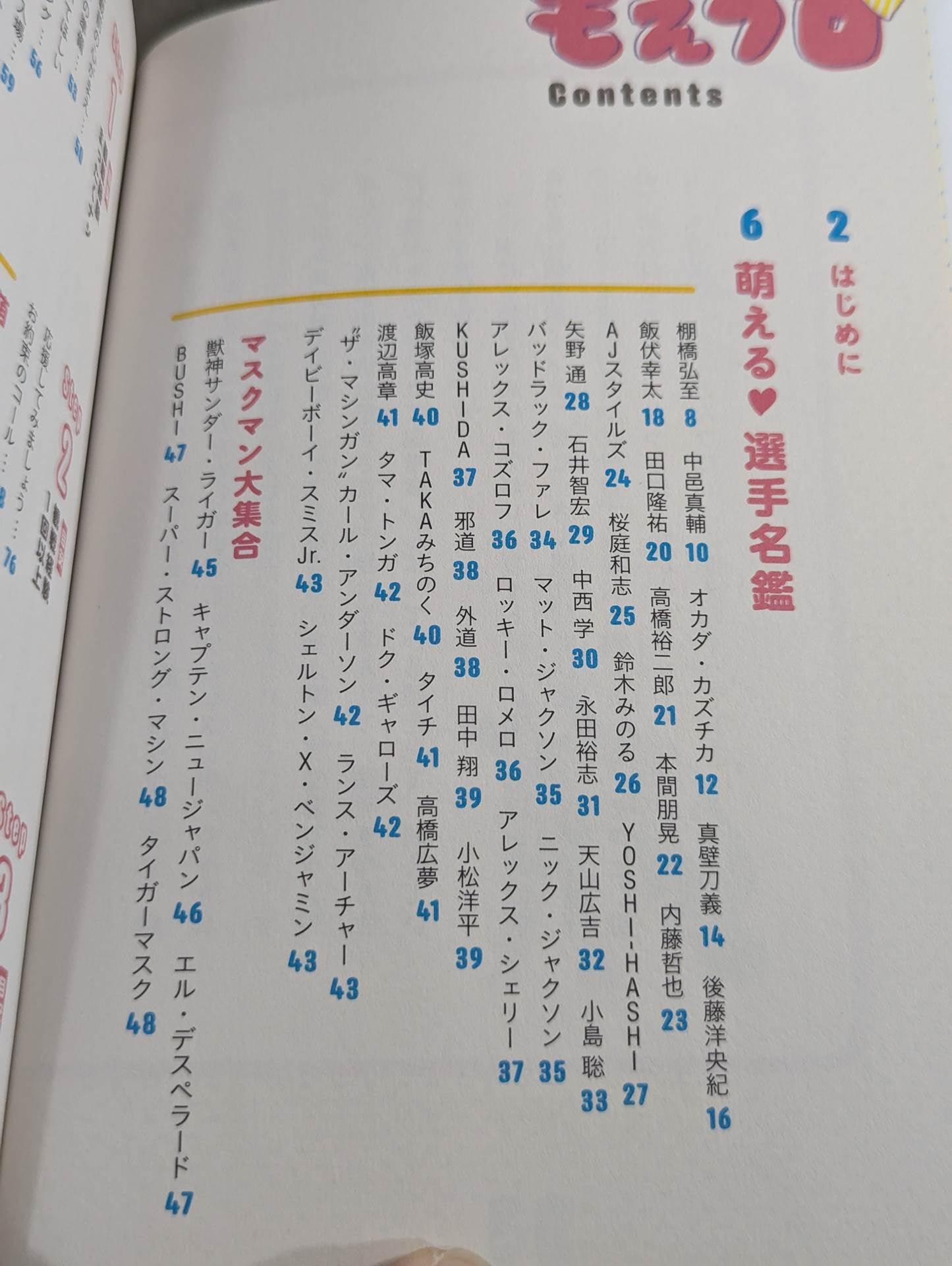 もえプロ 女子のための"萌える"プロレスガイドブック