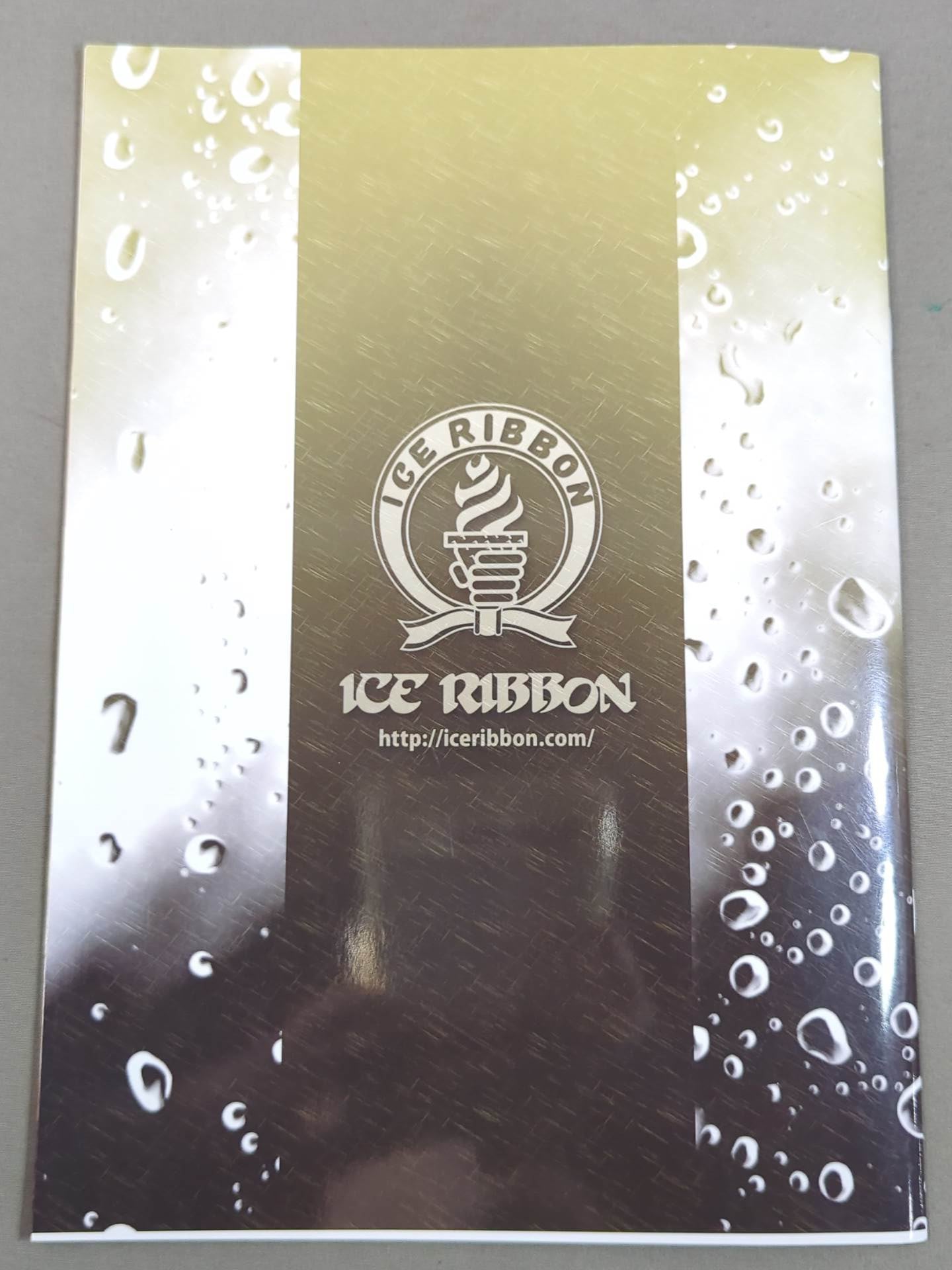 【8名直筆サイン入り】アイスリボンパンフレット(2020/12/31)