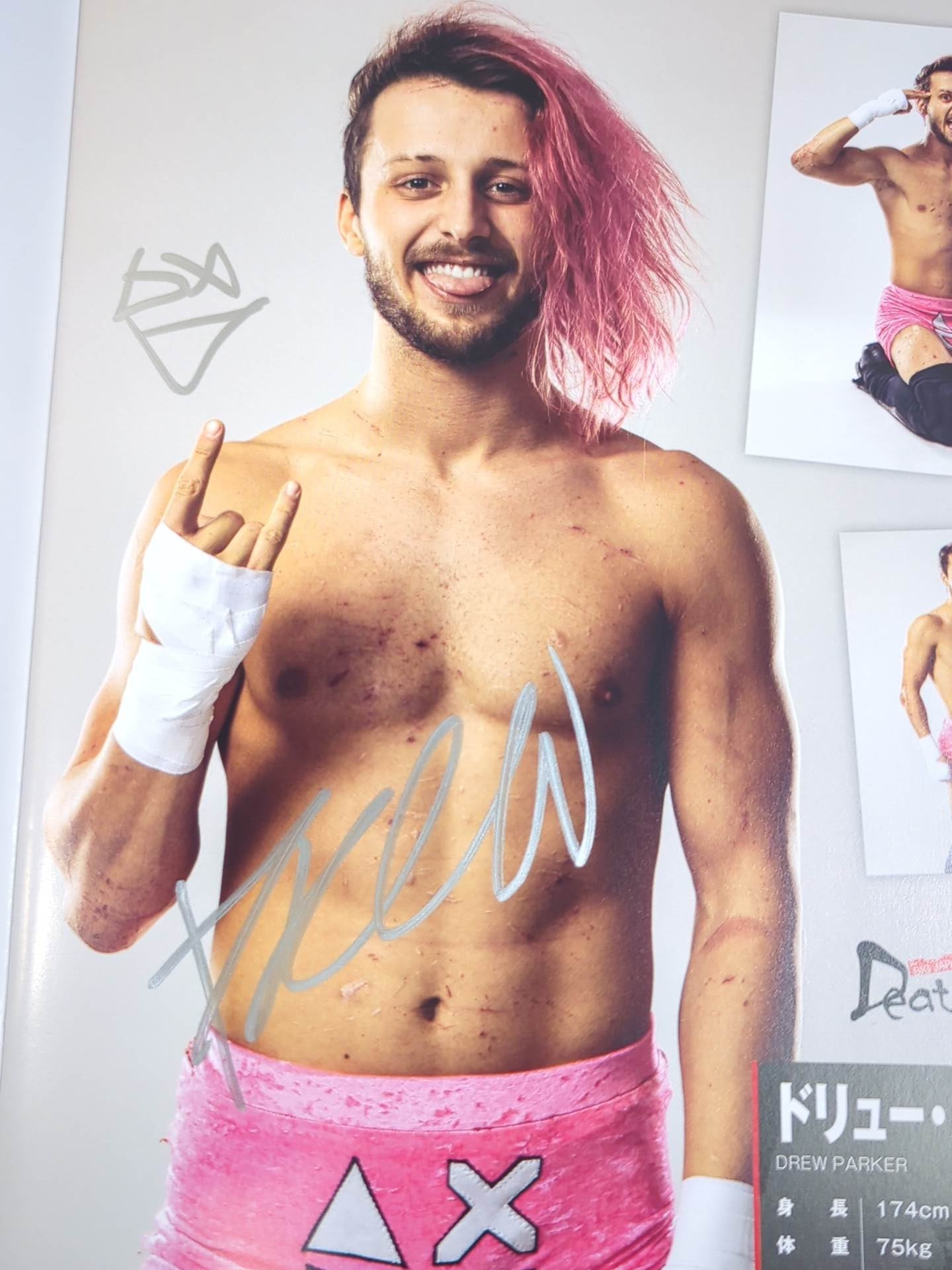 【10選手直筆サイン入り】BJW VISUAL GUIDE BOOK 2021