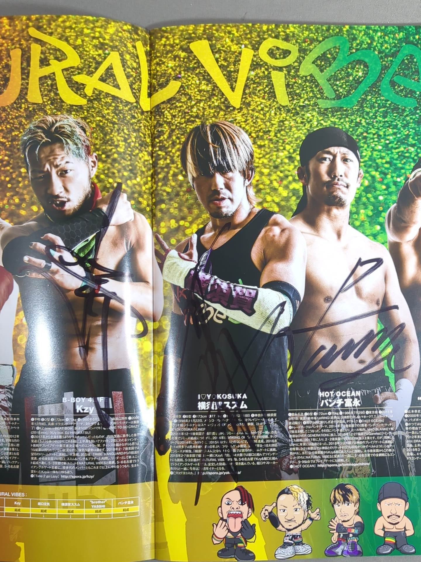 【10選手直筆サイン入り】2018 DRAGON GATE OFFICIAL PAMPHLET Vol.5