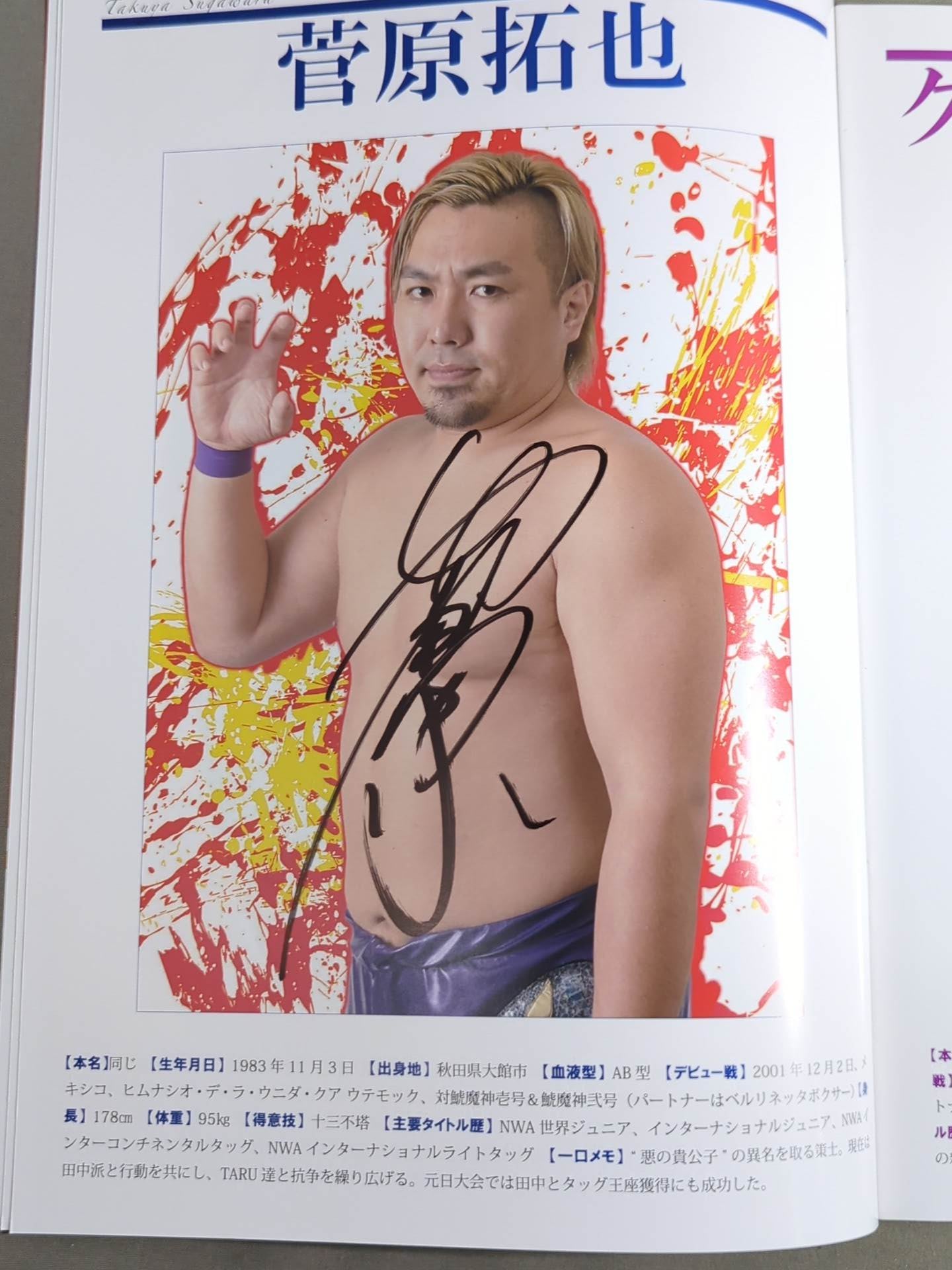 【4選手直筆サイン入り】ZERO1 OFFICIAL PAMPHLET 2018 17TH ANNIVERSARY