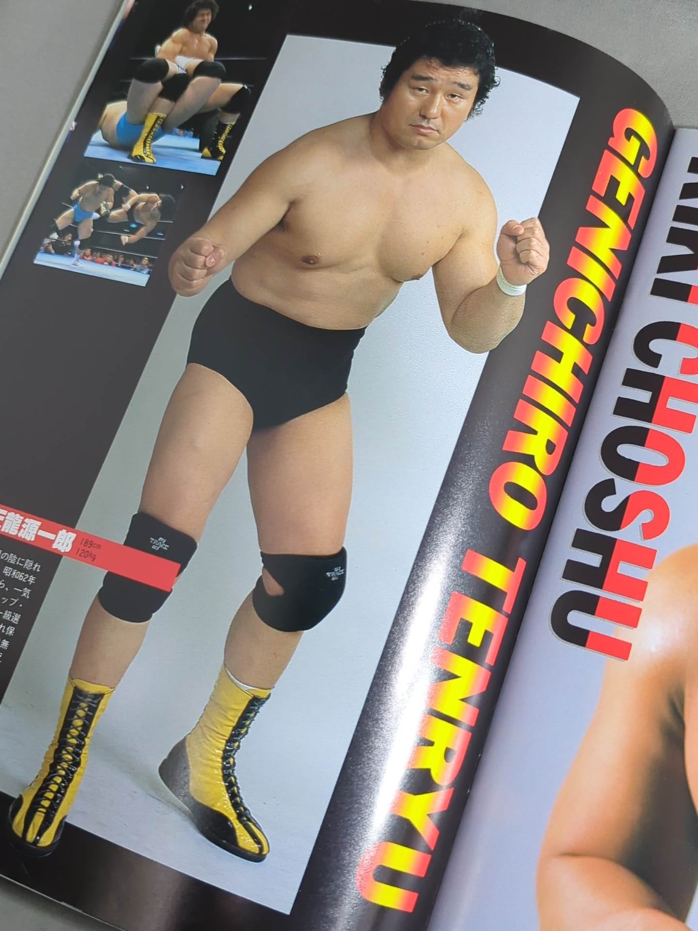 WWF・全日本・新日本 / 日米レスリングサミット