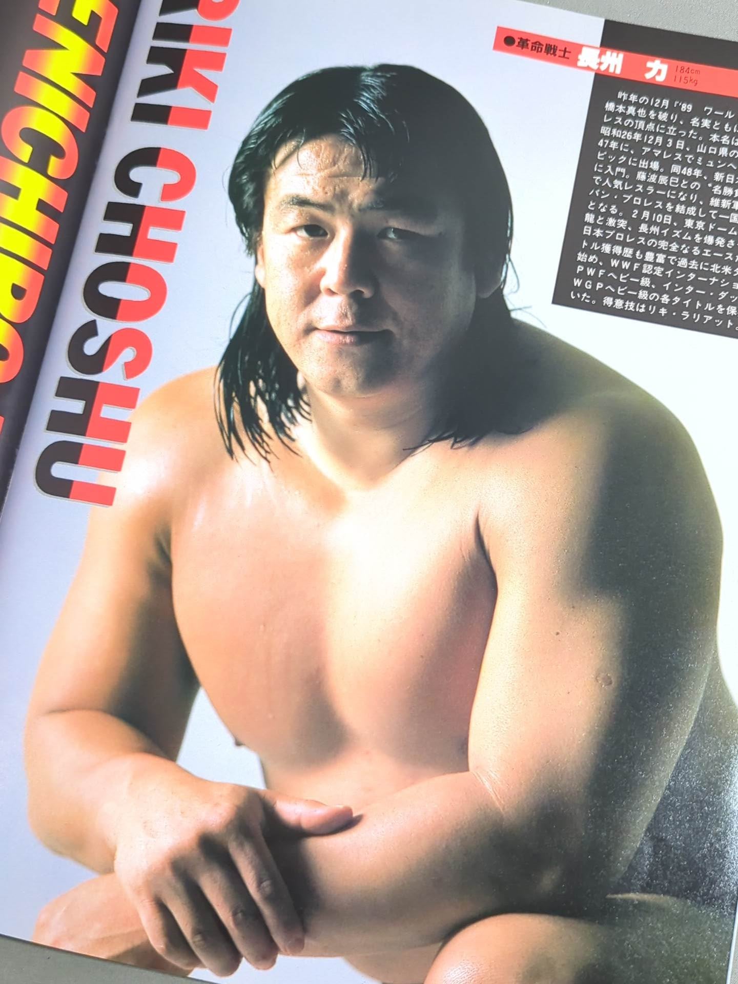 WWF・全日本・新日本 / 日米レスリングサミット