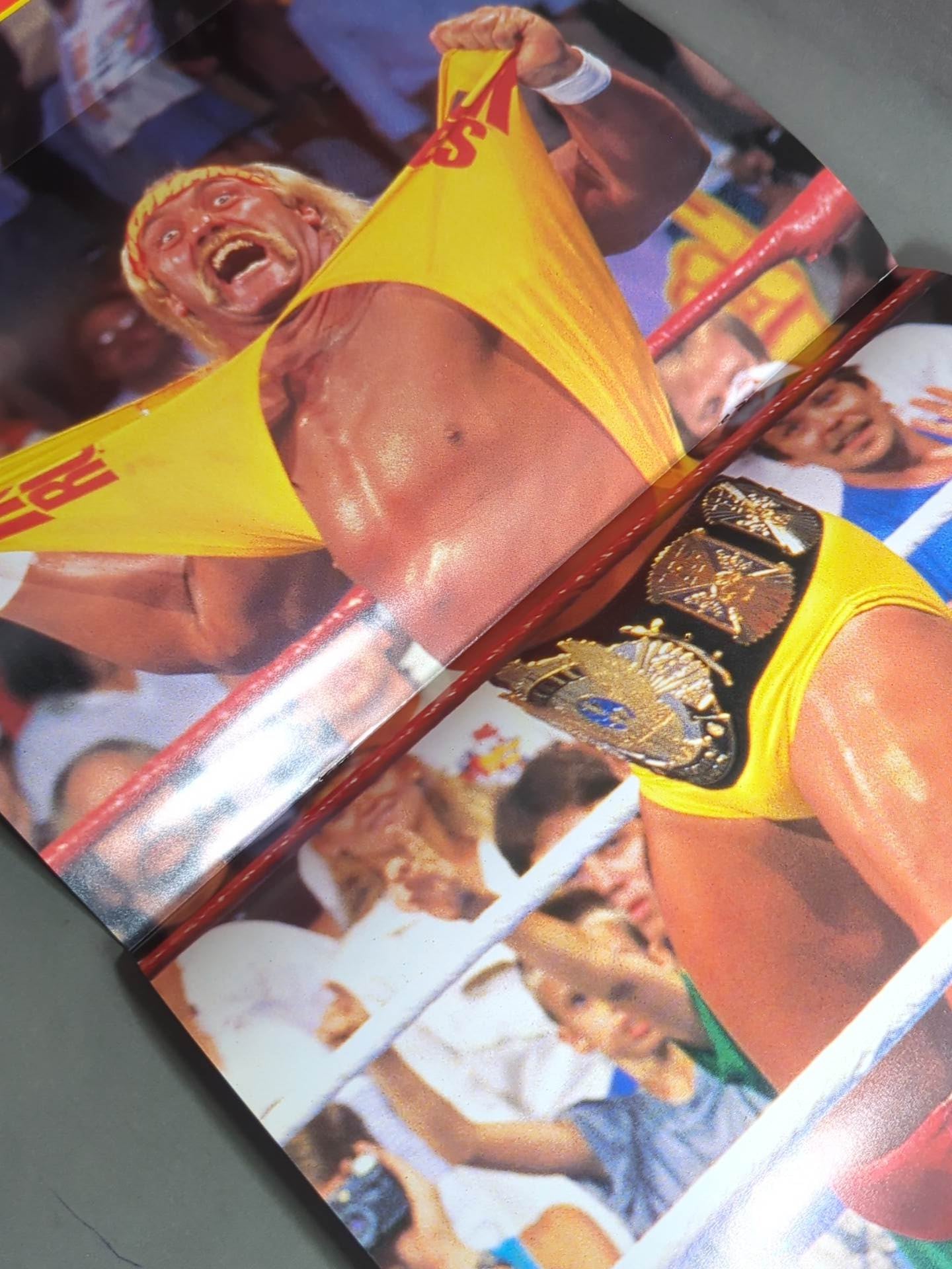 WWF・全日本・新日本 / 日米レスリングサミット