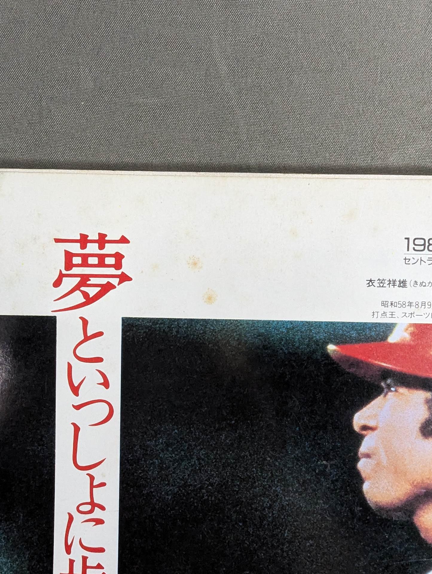 Weekly Pro Wrestling 85