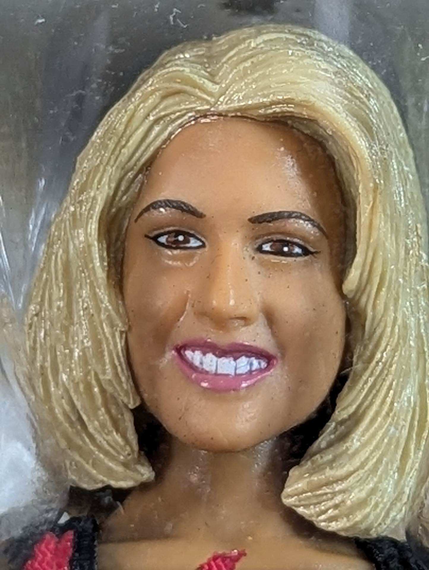 LEGION OF DOOM ホーク&アニマル with サニー  (リージョン・オブ・ドゥーム)