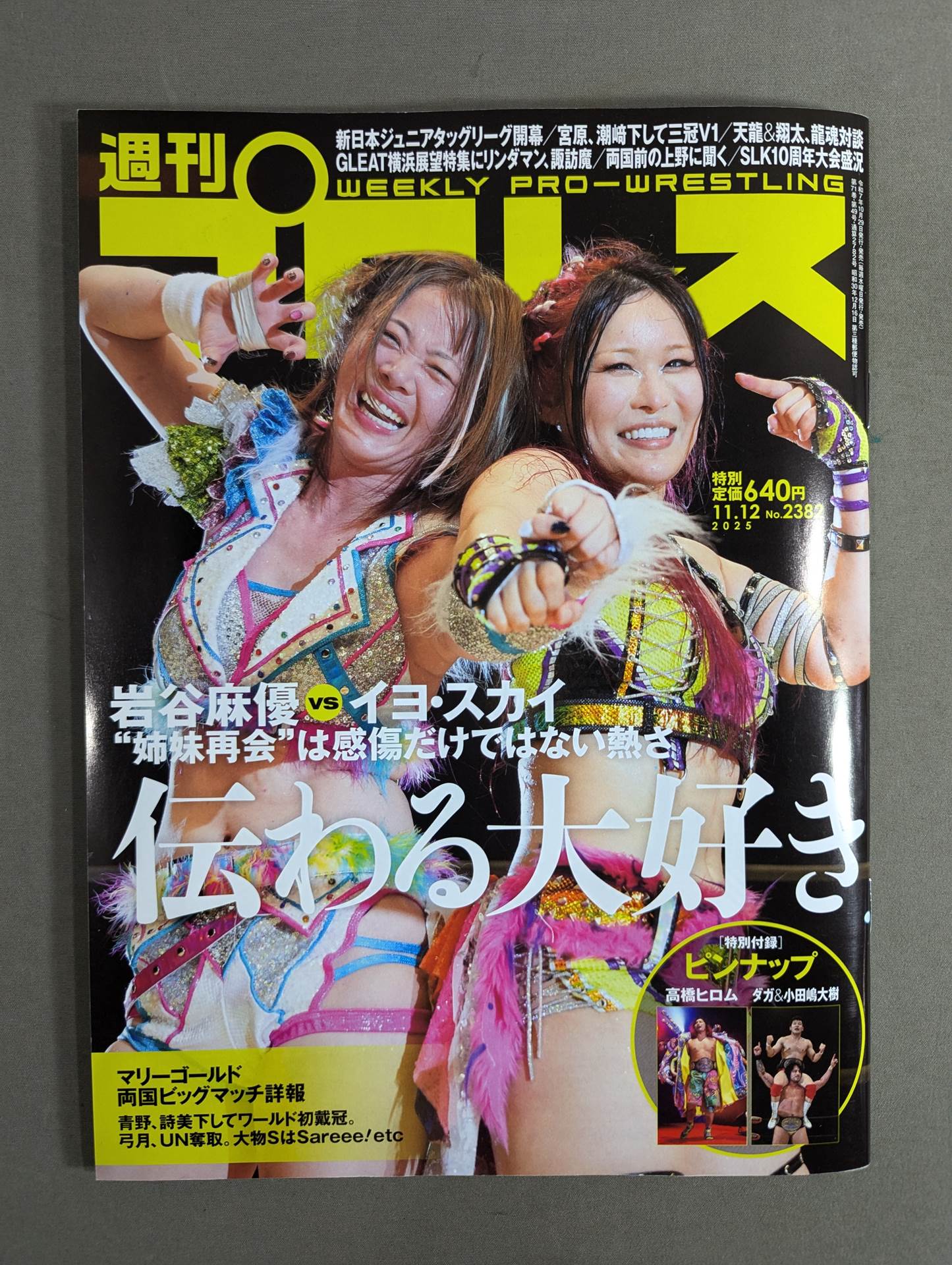 Weekly Pro Wrestling 2382