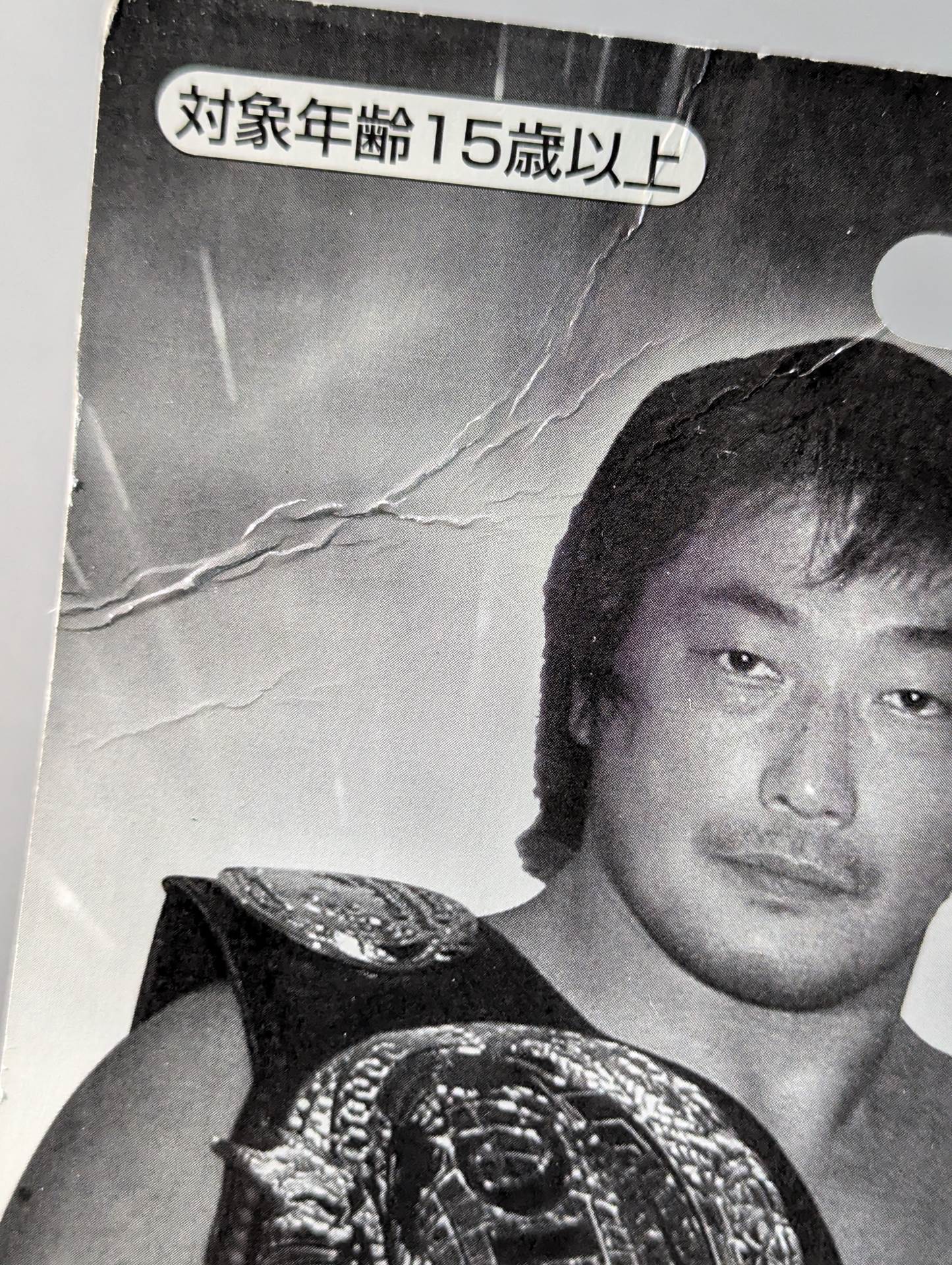 小橋建太(2冠王・セピア)