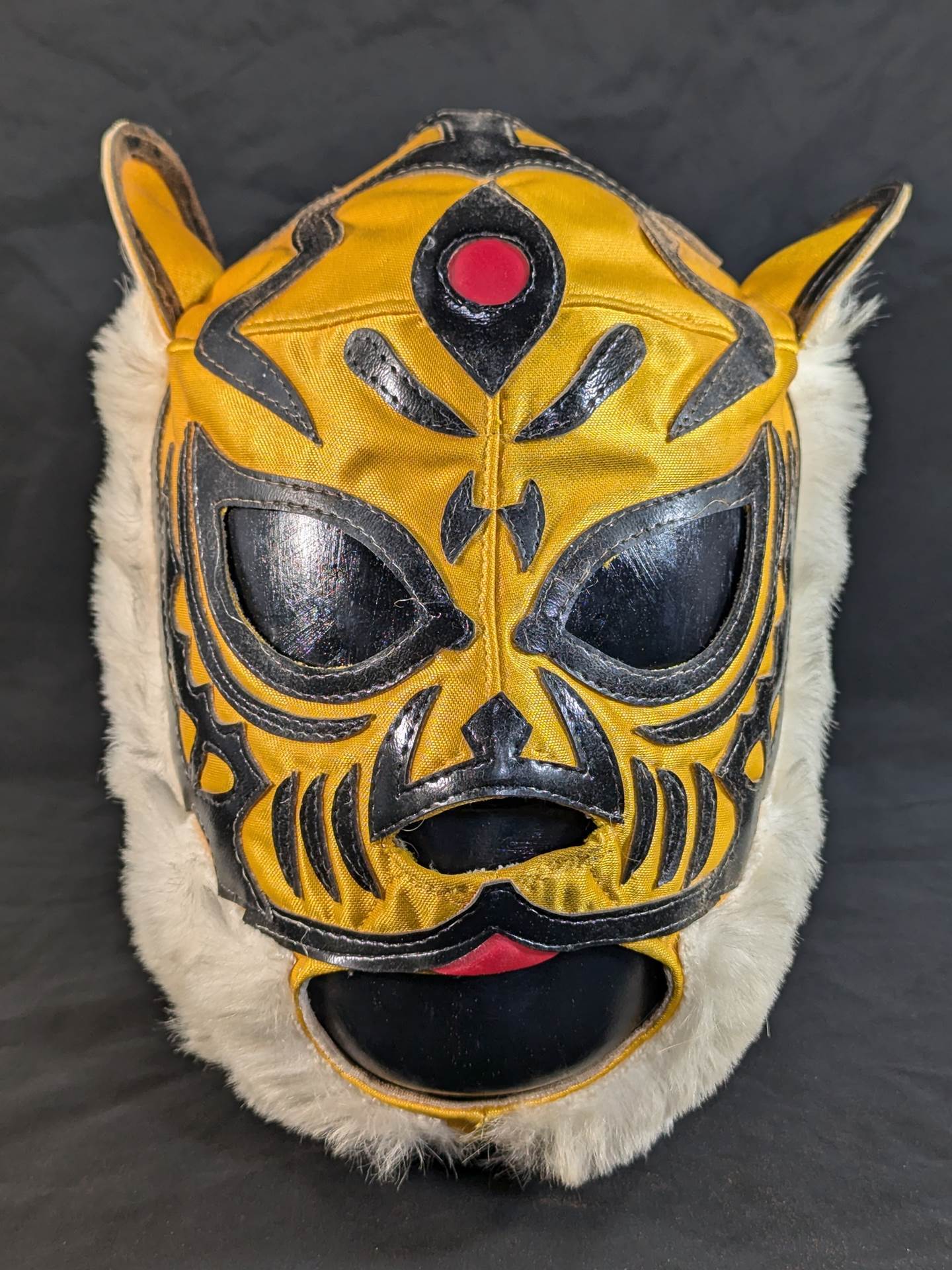 初代タイガーマスク – 闘道館