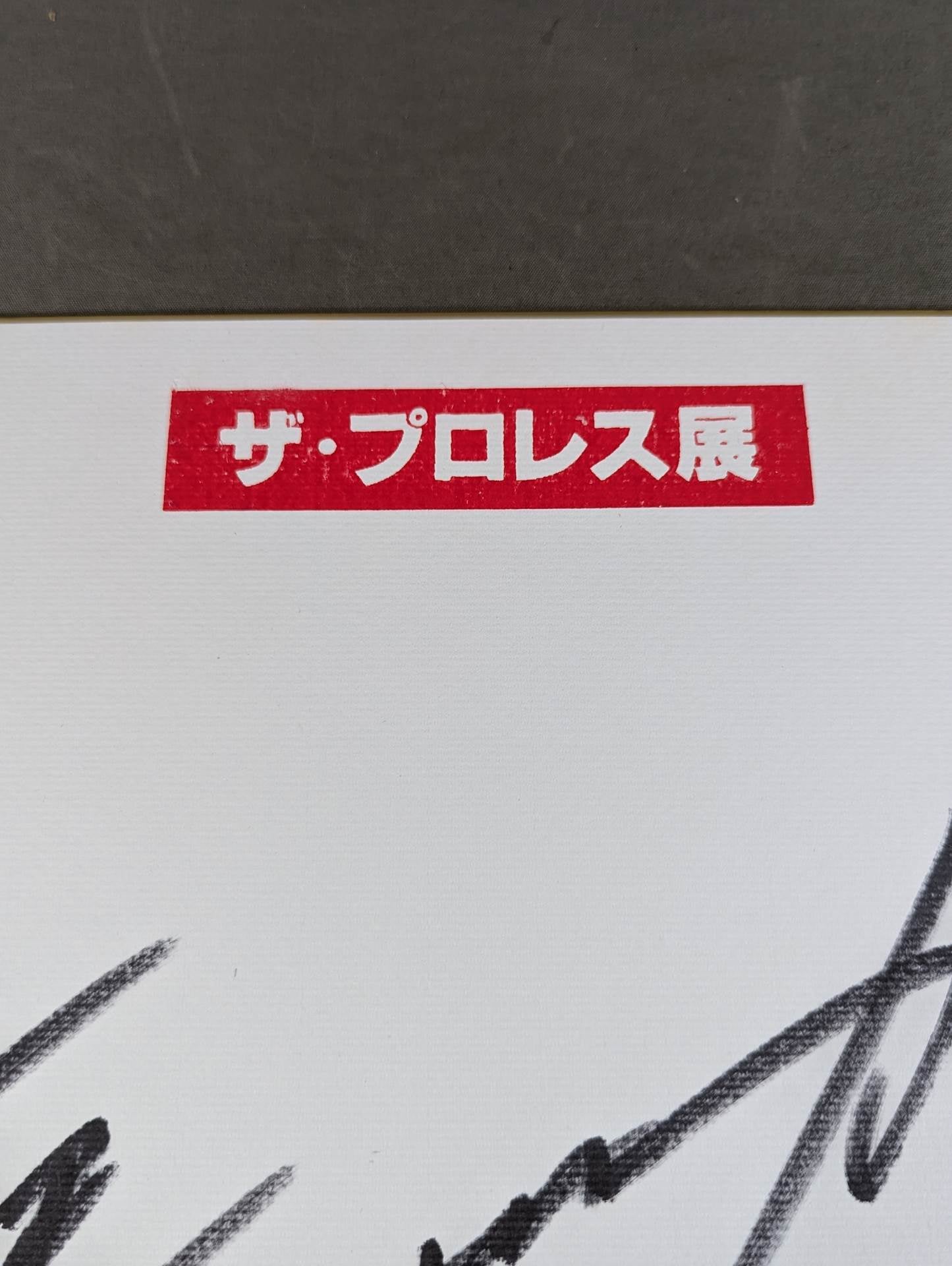 Riki Choshu  (Horizontal writing The Pro Wrestling  Shikishi ( Autograph board ) )