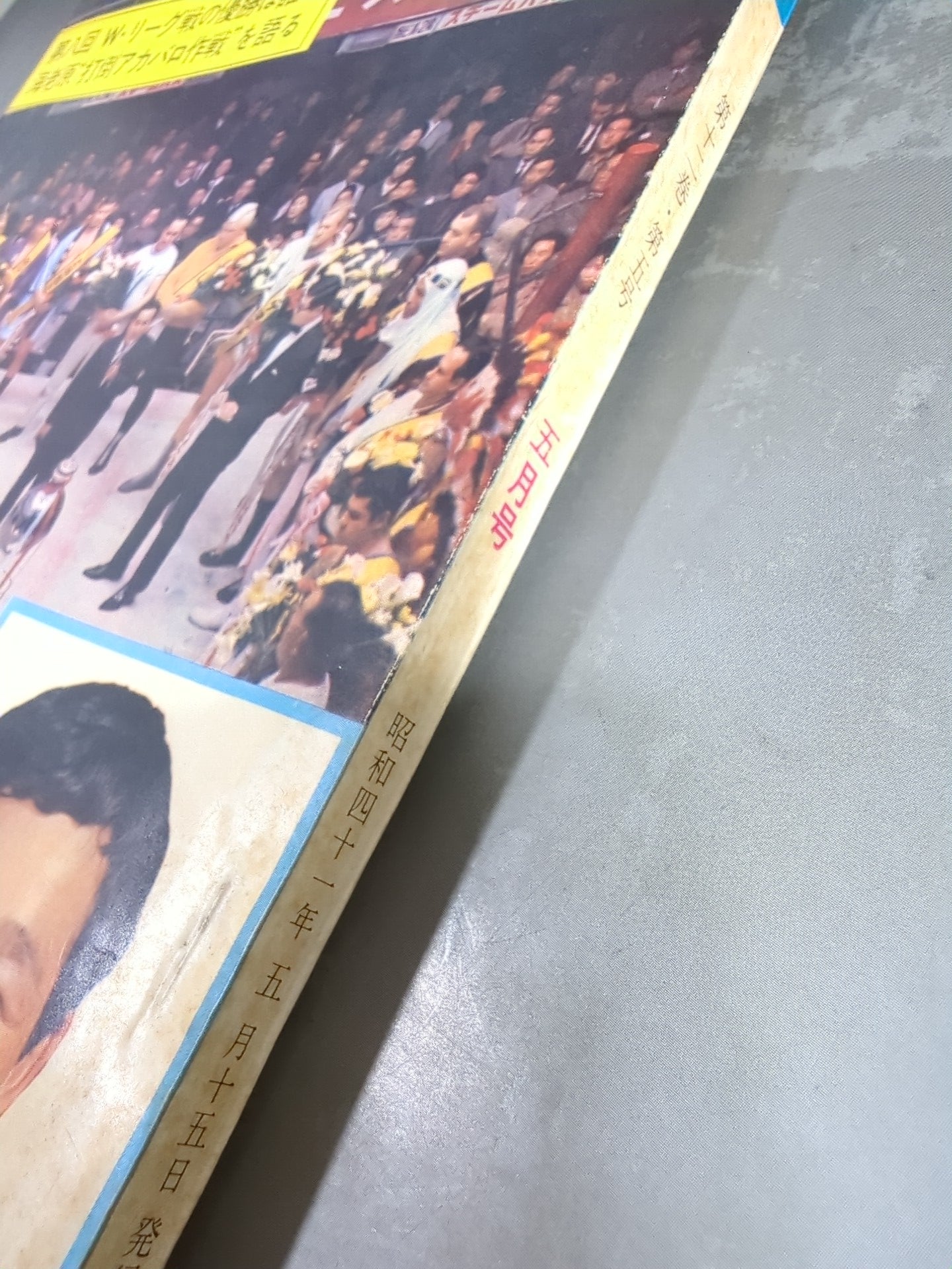 Pro Wrestling & Boxing May 1966 issue