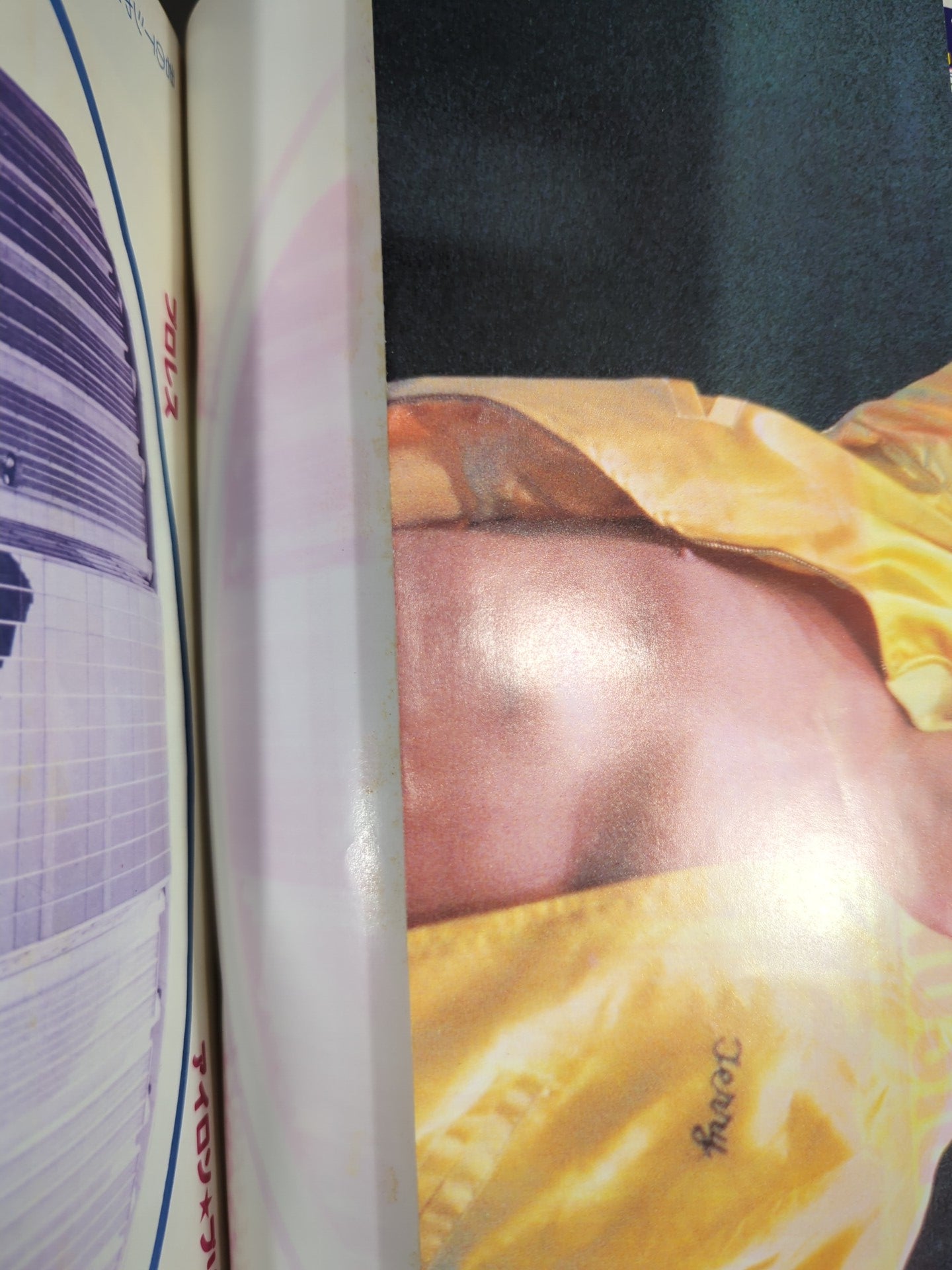 Pro Wrestling Monthly, June 1982