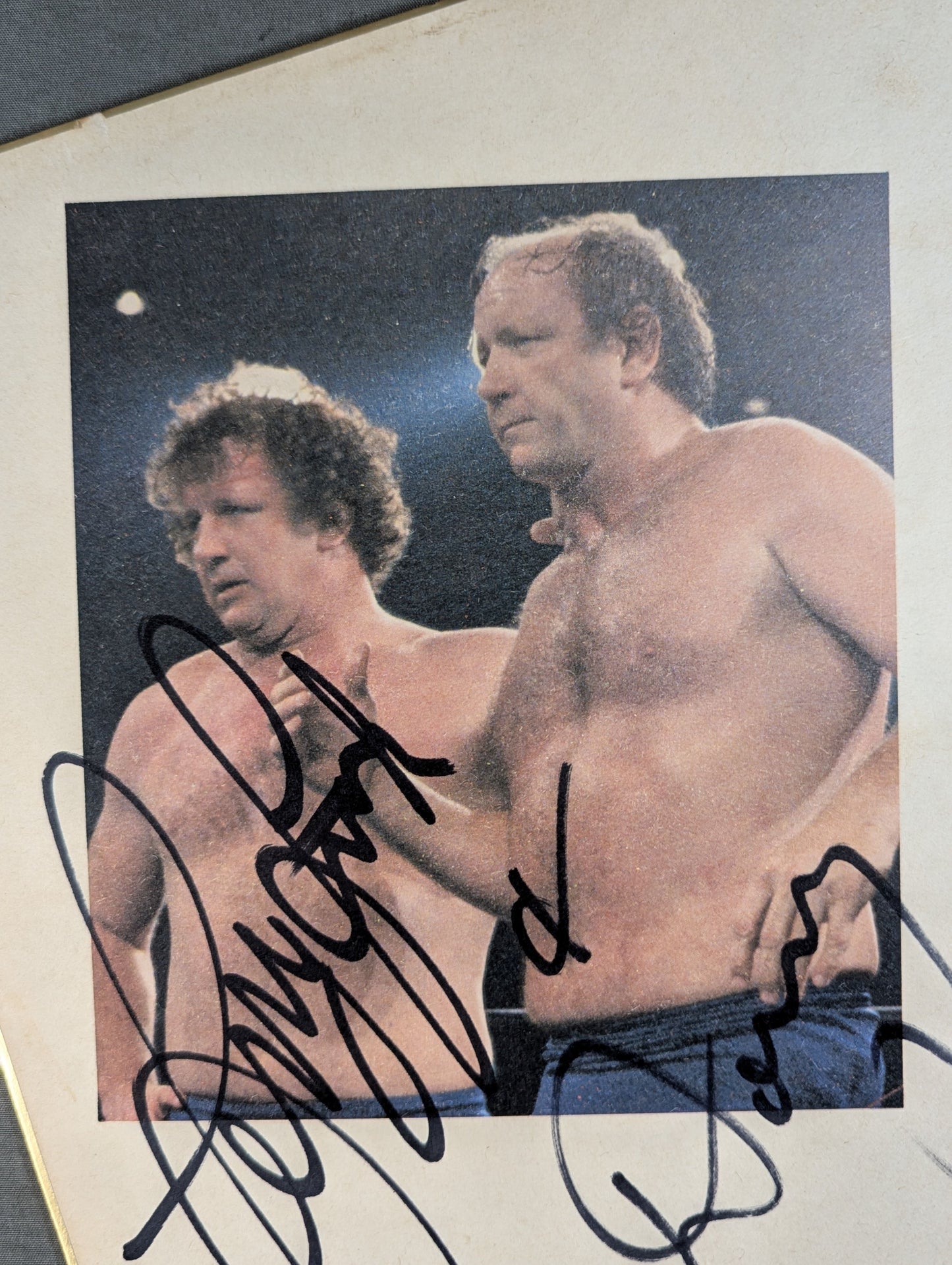 ★ザ・ファンクス★ ドリー・ファンク・ジュニア&テリー・ファンク(全日本プロレス専用色紙)