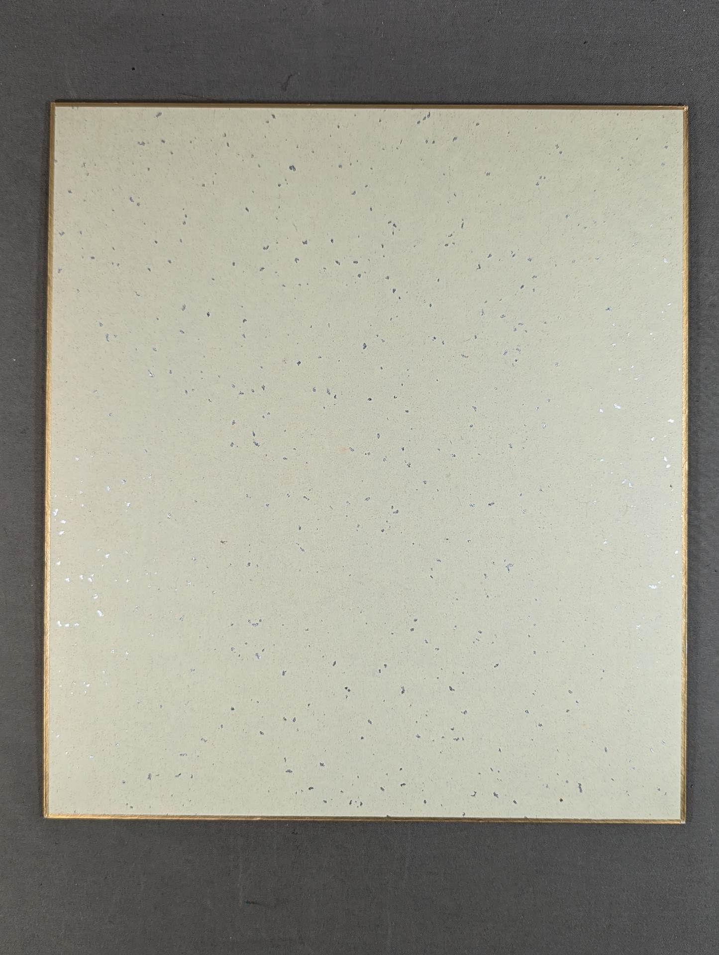 ★超世代軍★ 川田利明&三沢光晴(全日本プロレス専用色紙)