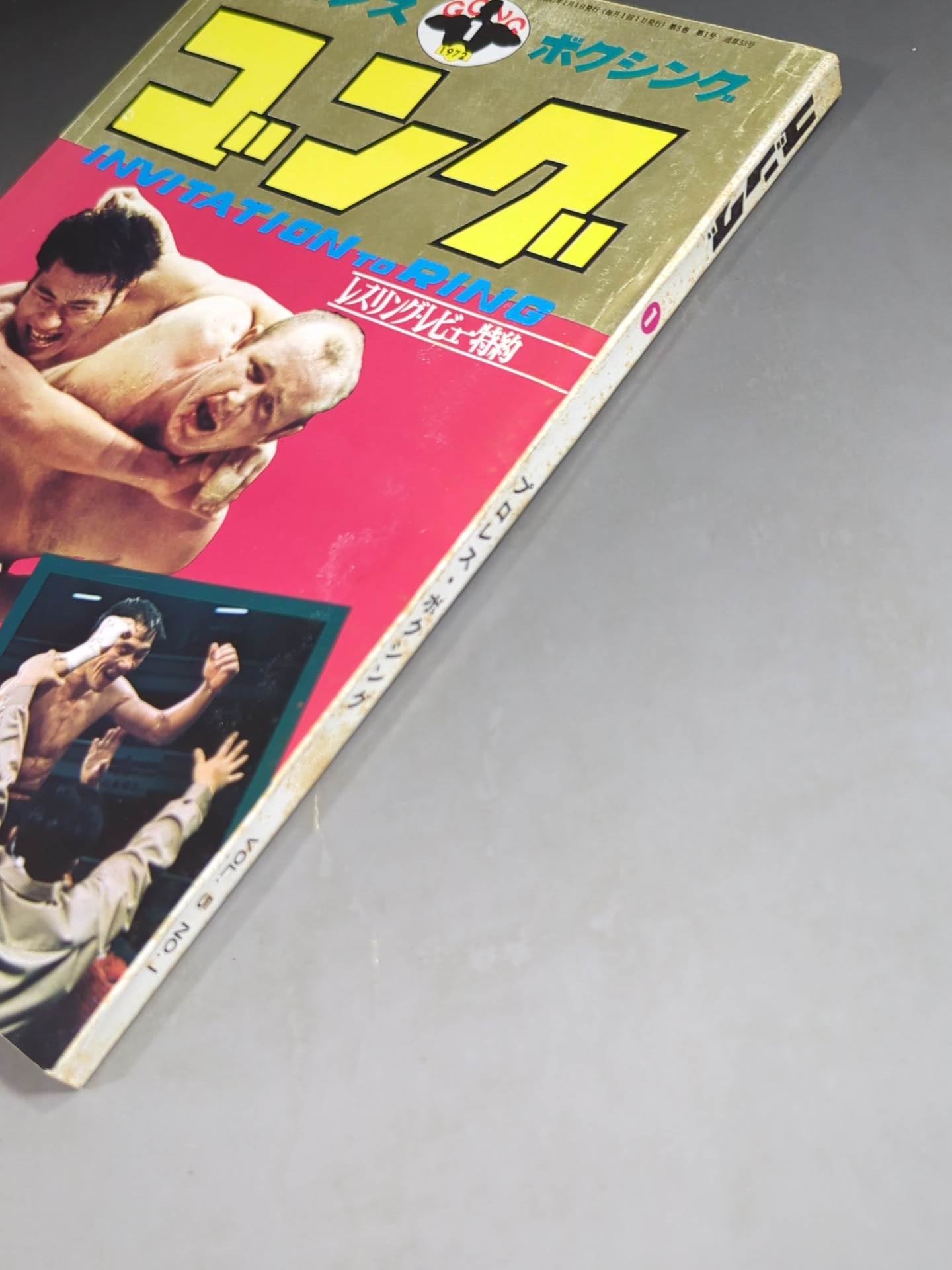 Monthly Gong Vol.5 No.1