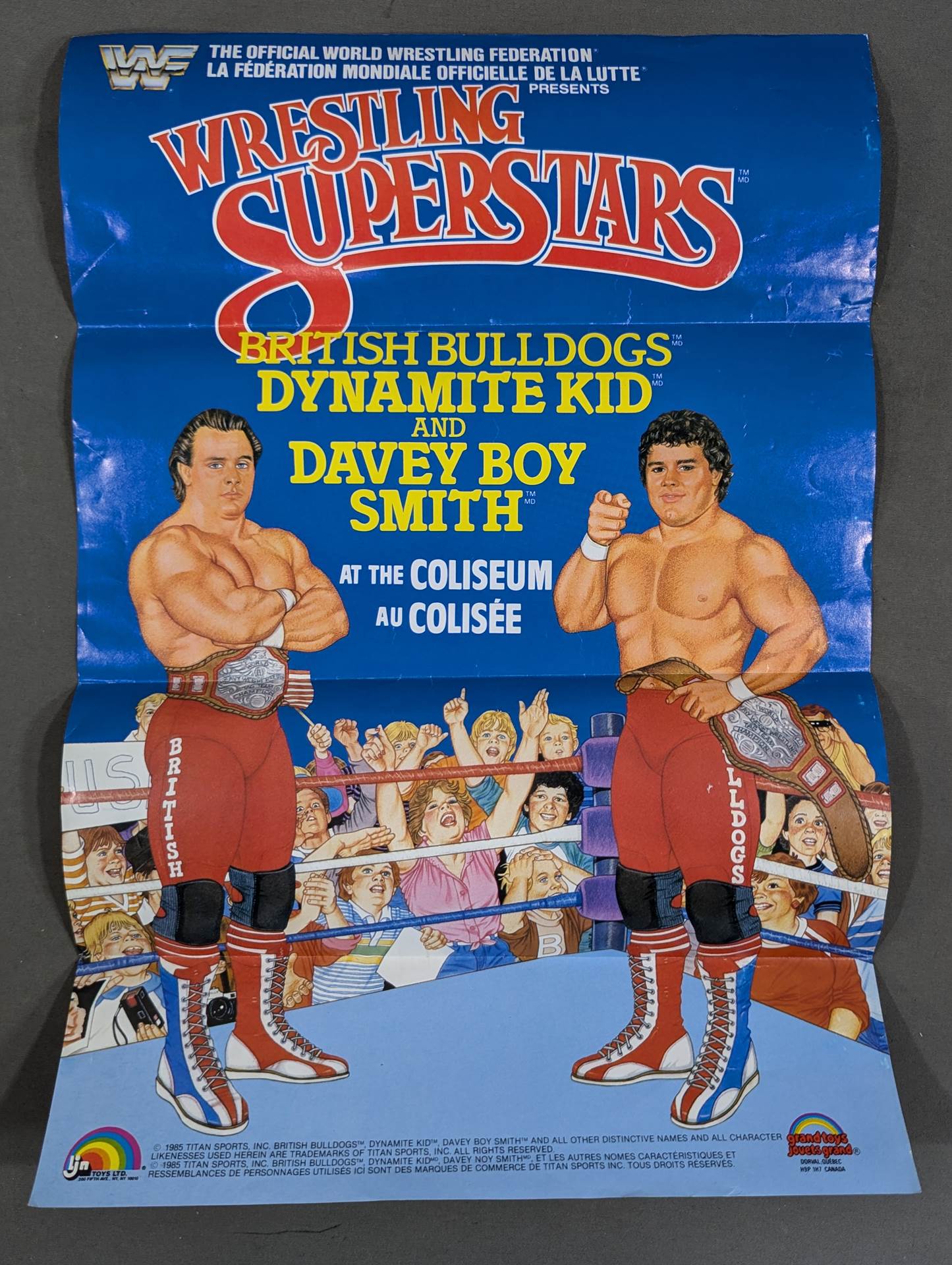 British Bulldogs (Wrestling SUPERSTARS)