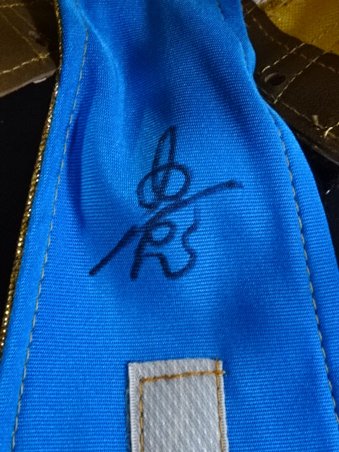 The first Tiger Mask