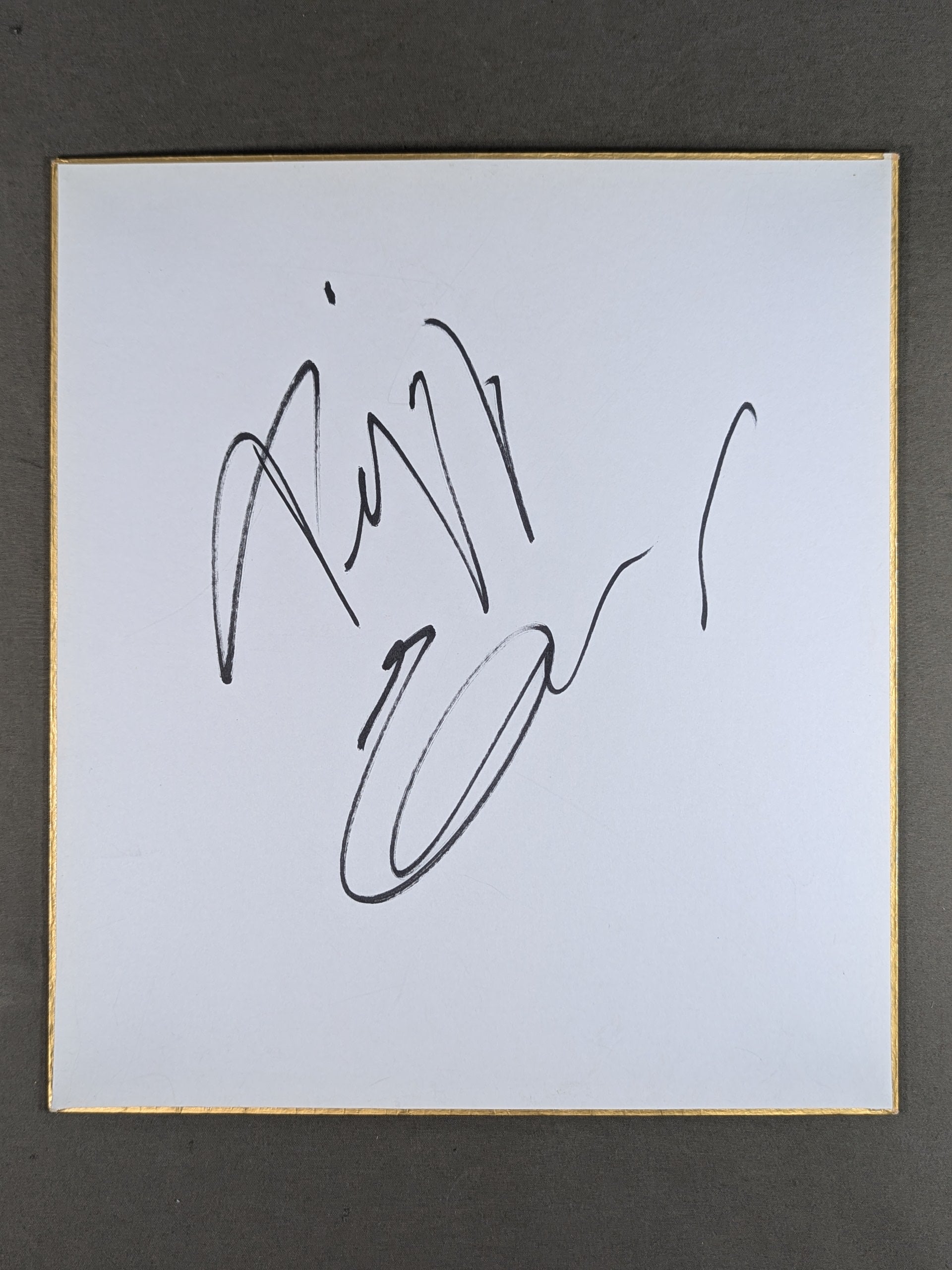 エメリヤーエンコ・ヒョードル – 闘道館