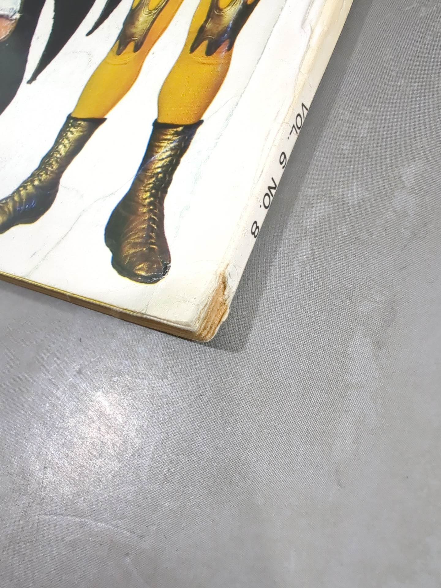 別冊ゴングVol.6 No.8