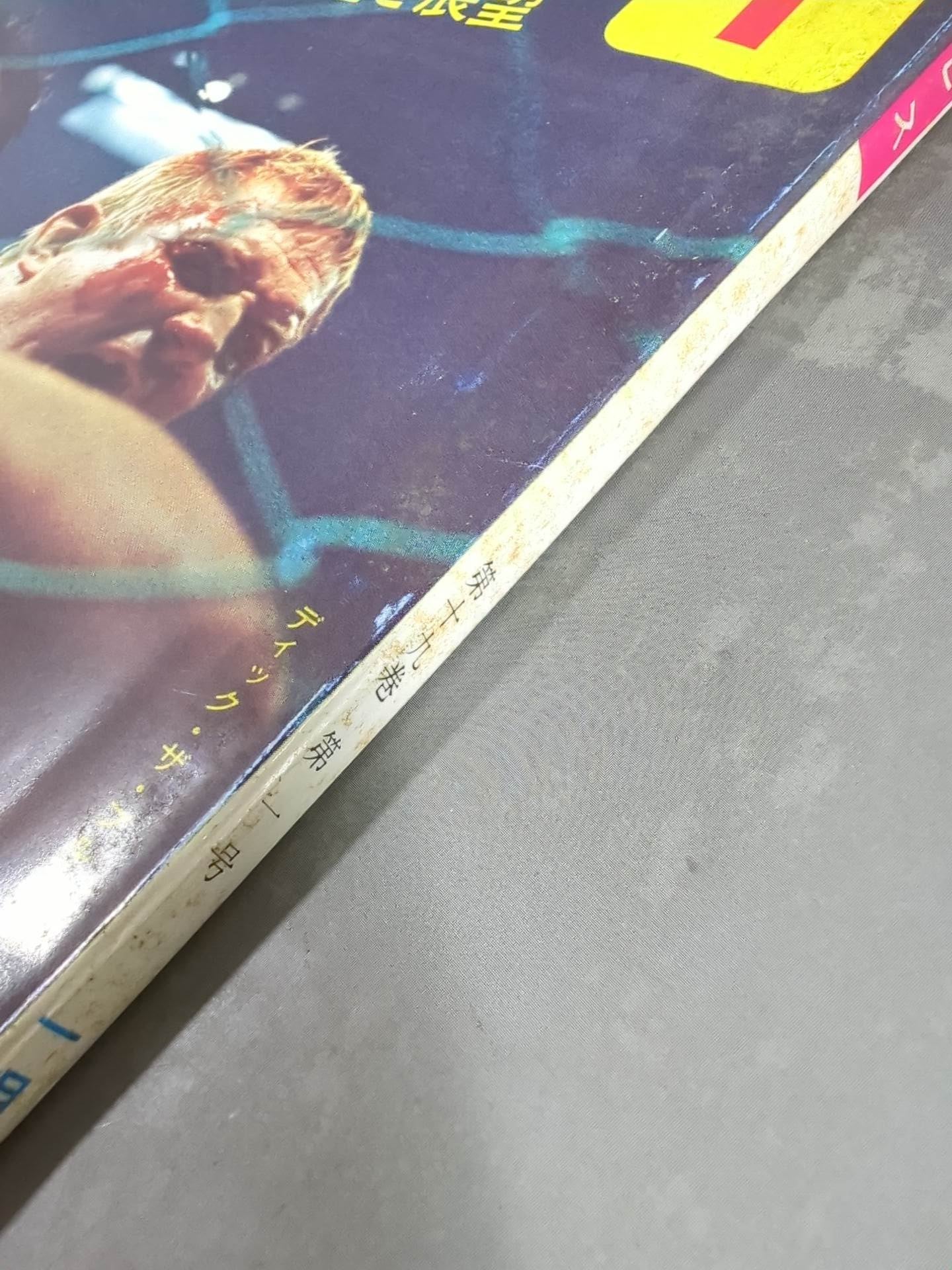 Monthly Pro Wrestling January 1973 issue