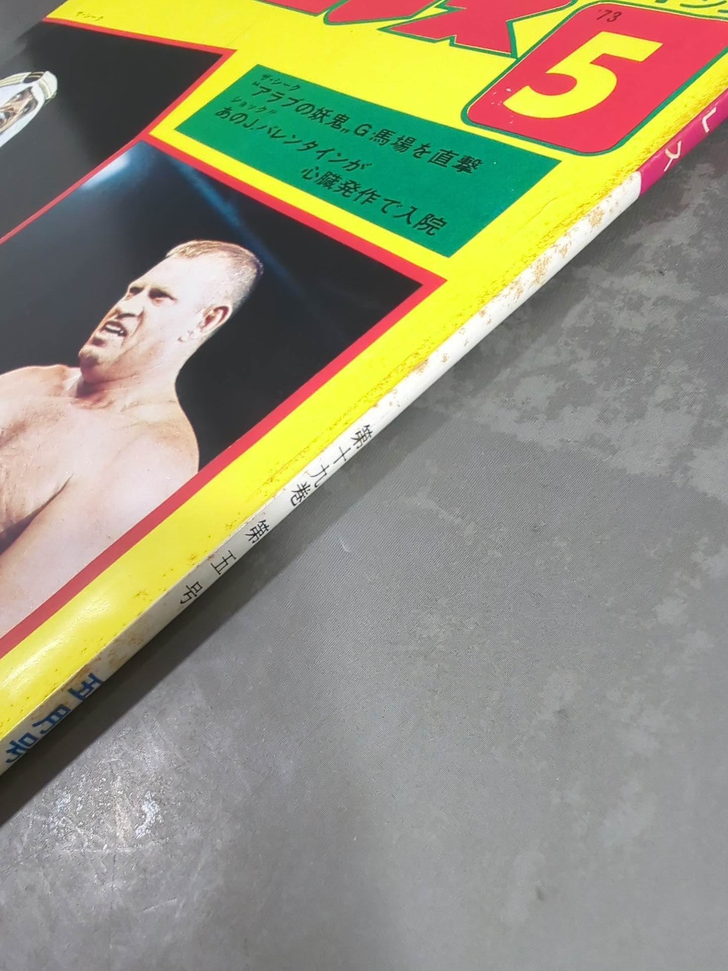 Monthly Pro Wrestling May 1973 issue