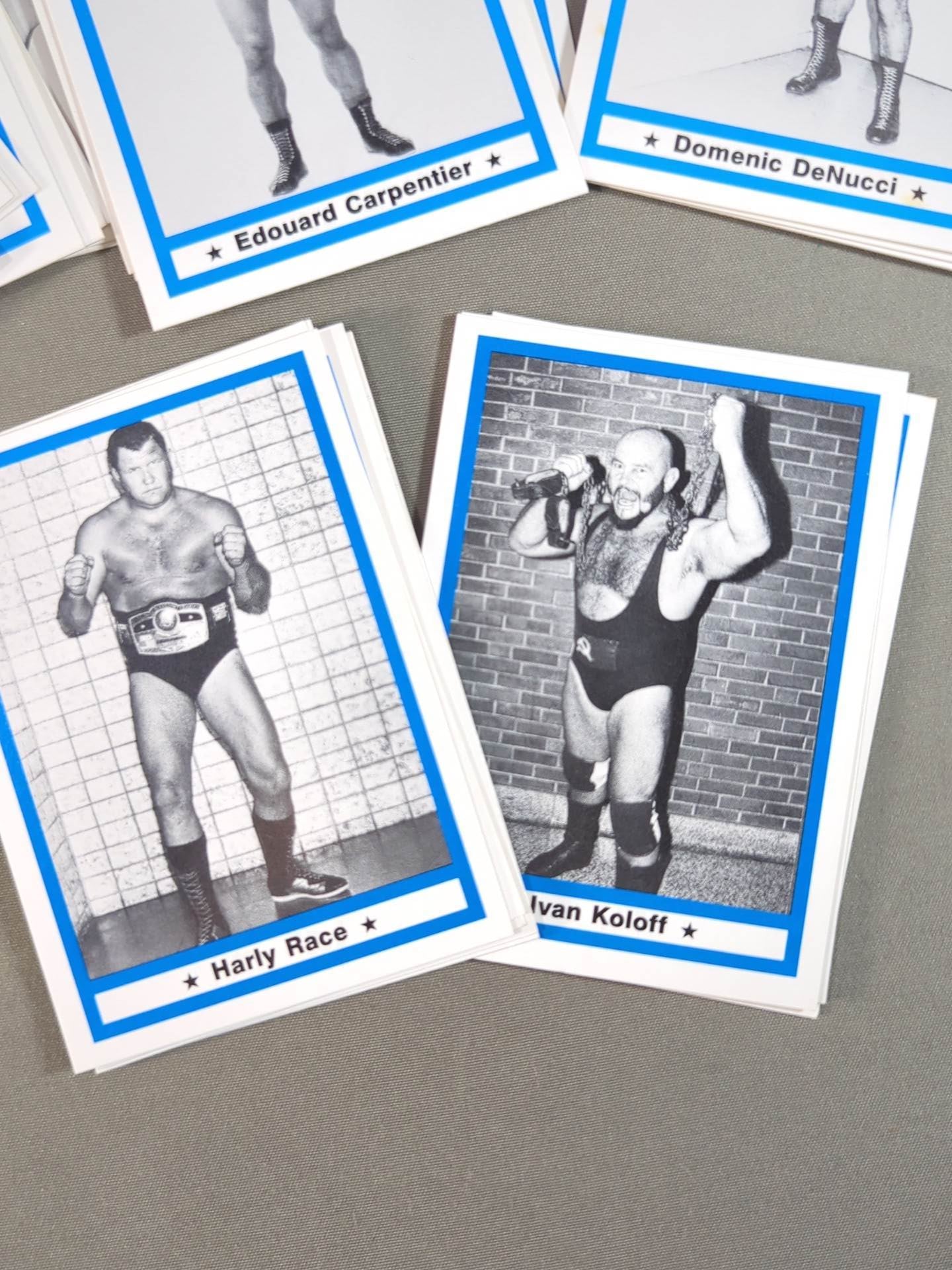 1991 Wrestling LEGEND 60 Discs Full Complete Set