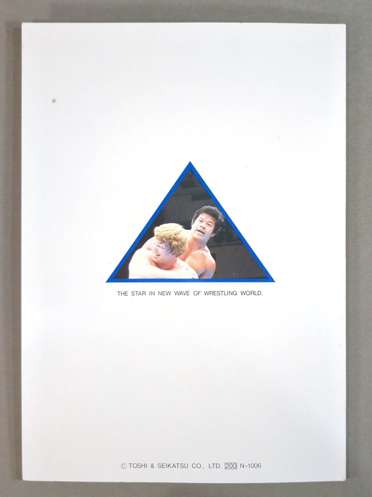 Tatsumi Fujinami Notebook