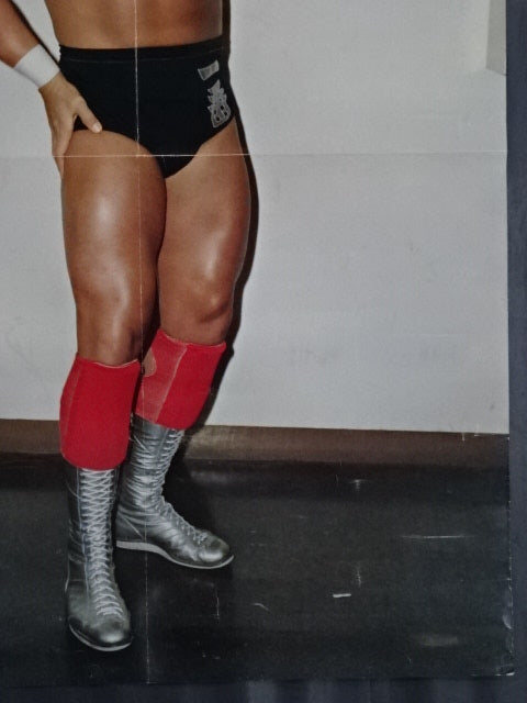 ハルク・ホーガン ポスター①