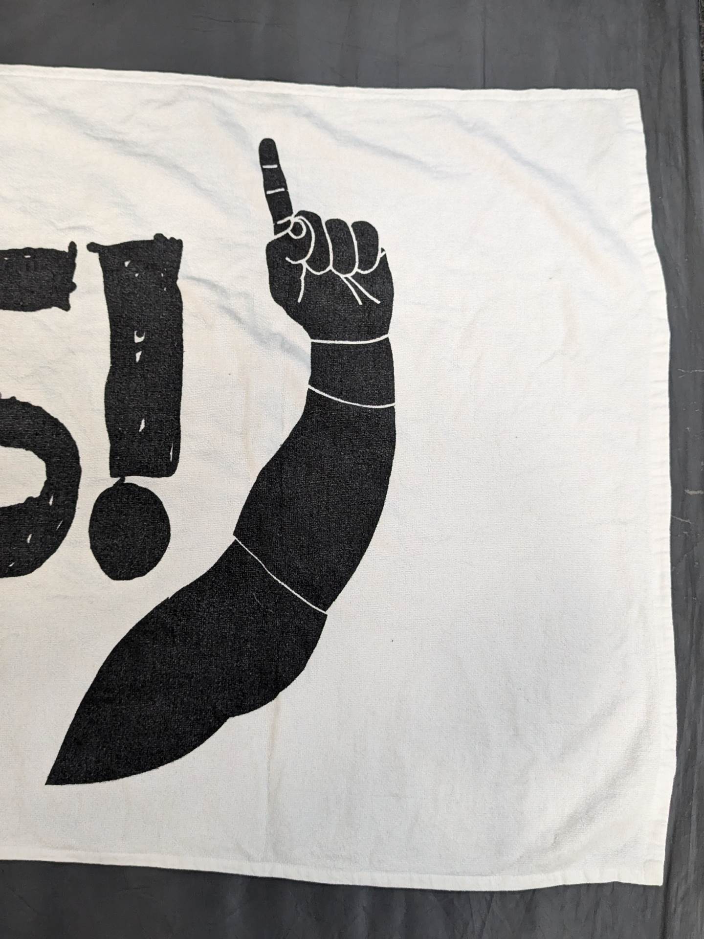 Daniel Bryan Bath Towels(1)