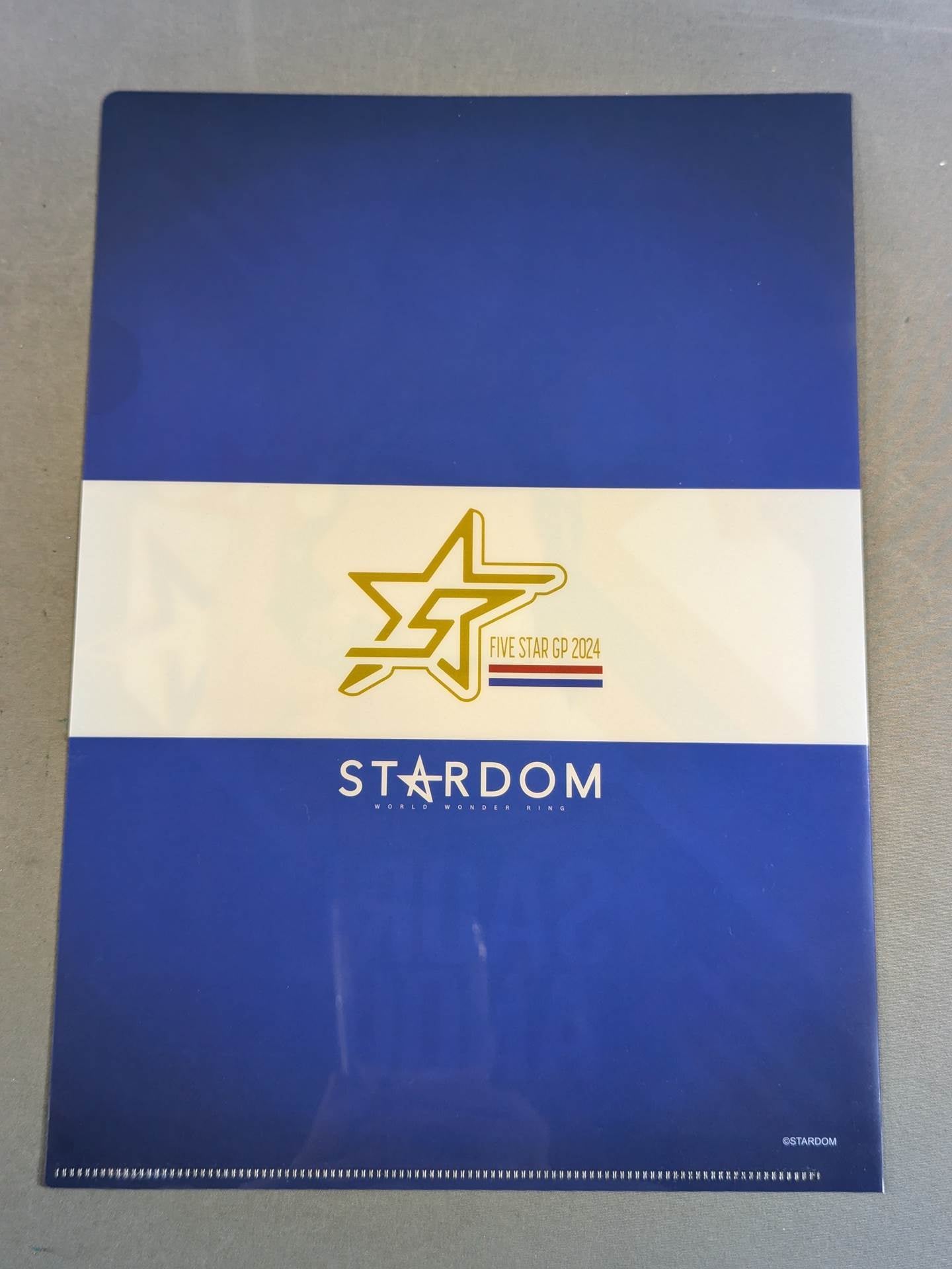 Saori Anou 5★STAR GP 2024 plastic file folder