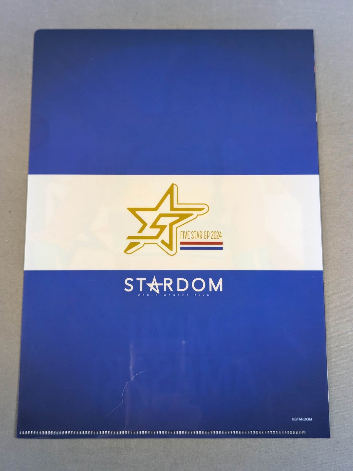Miyu Amasaki 5★STAR GP 2024 plastic file folder
