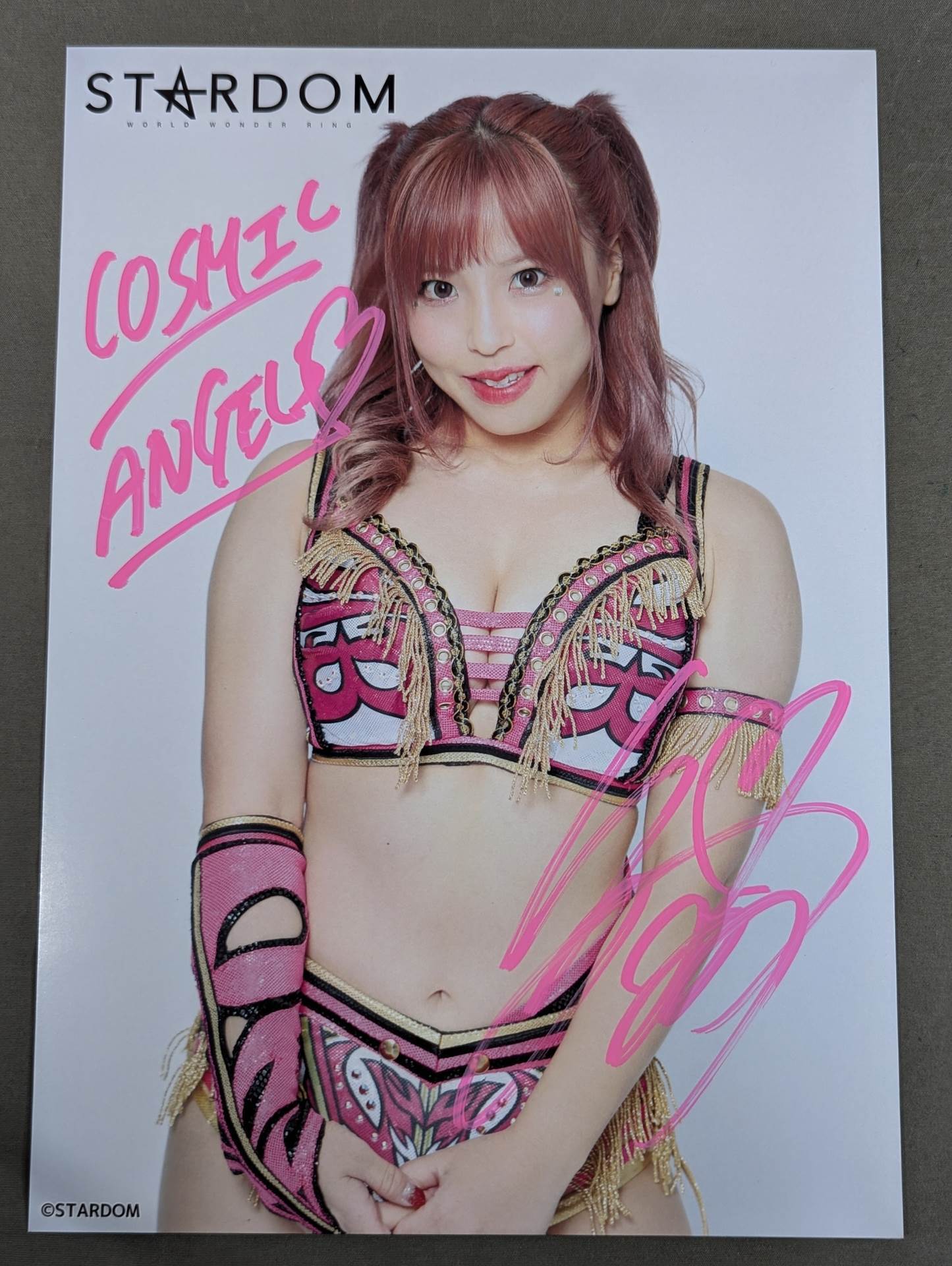 白川未奈 直筆サイン入り スターダムポートレート(H-5) – 闘道館