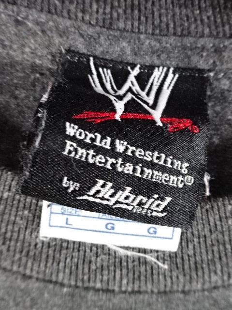 D-GENERATION X ロゴTシャツ①(WWE(2007) / グレー)