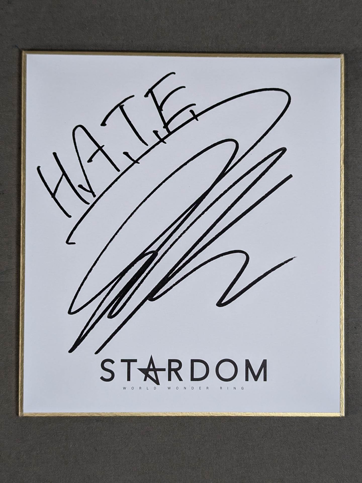 刀羅ナツコ(STARDOMミニ色紙)