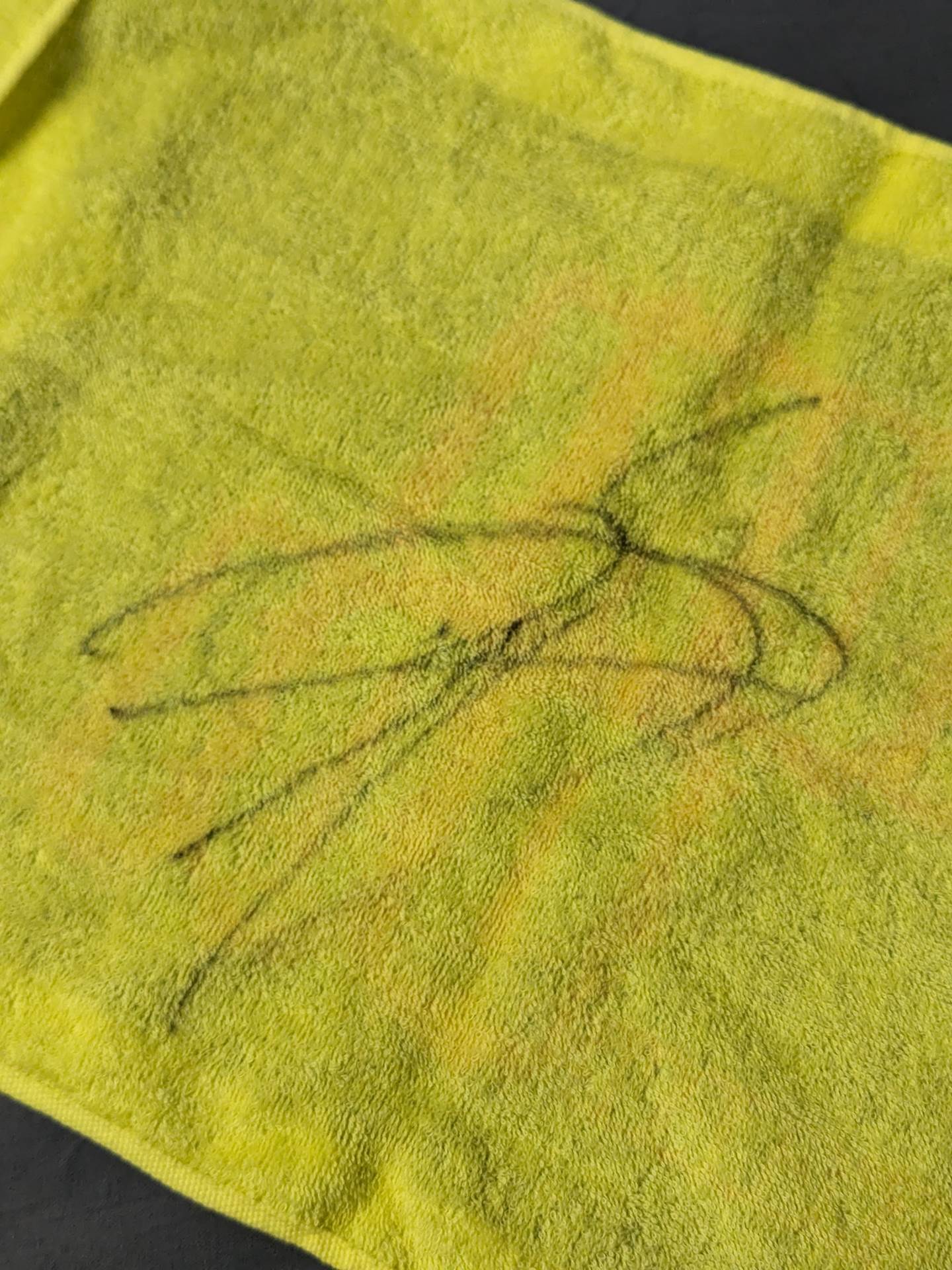 【hand signed autograph】 Naruki Doi Return Commemoration Cheering towel