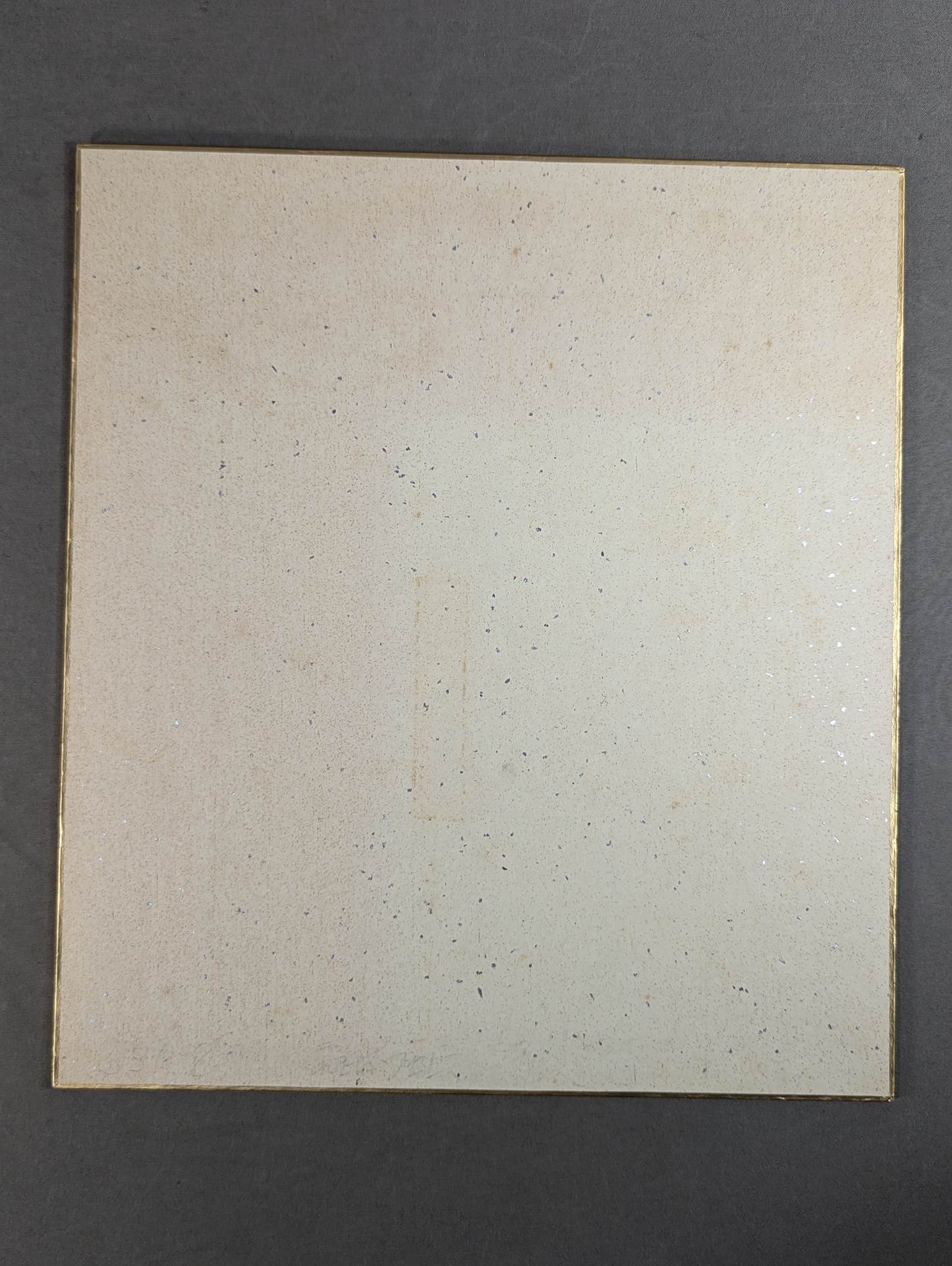 Tatsumi Fujinami (sticker)