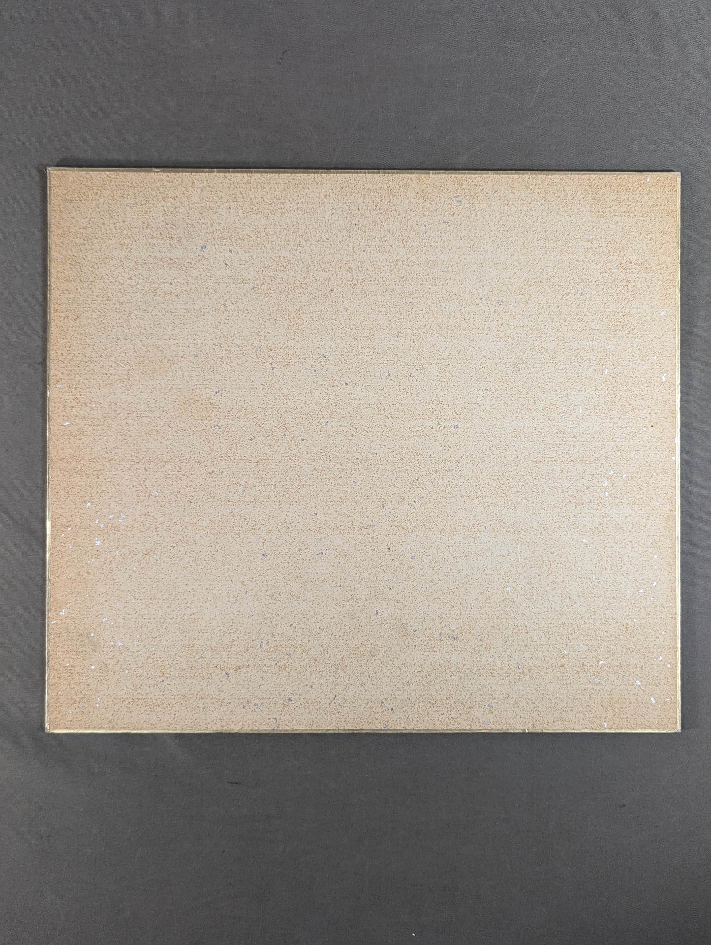 前田明(日明)&坂口征二