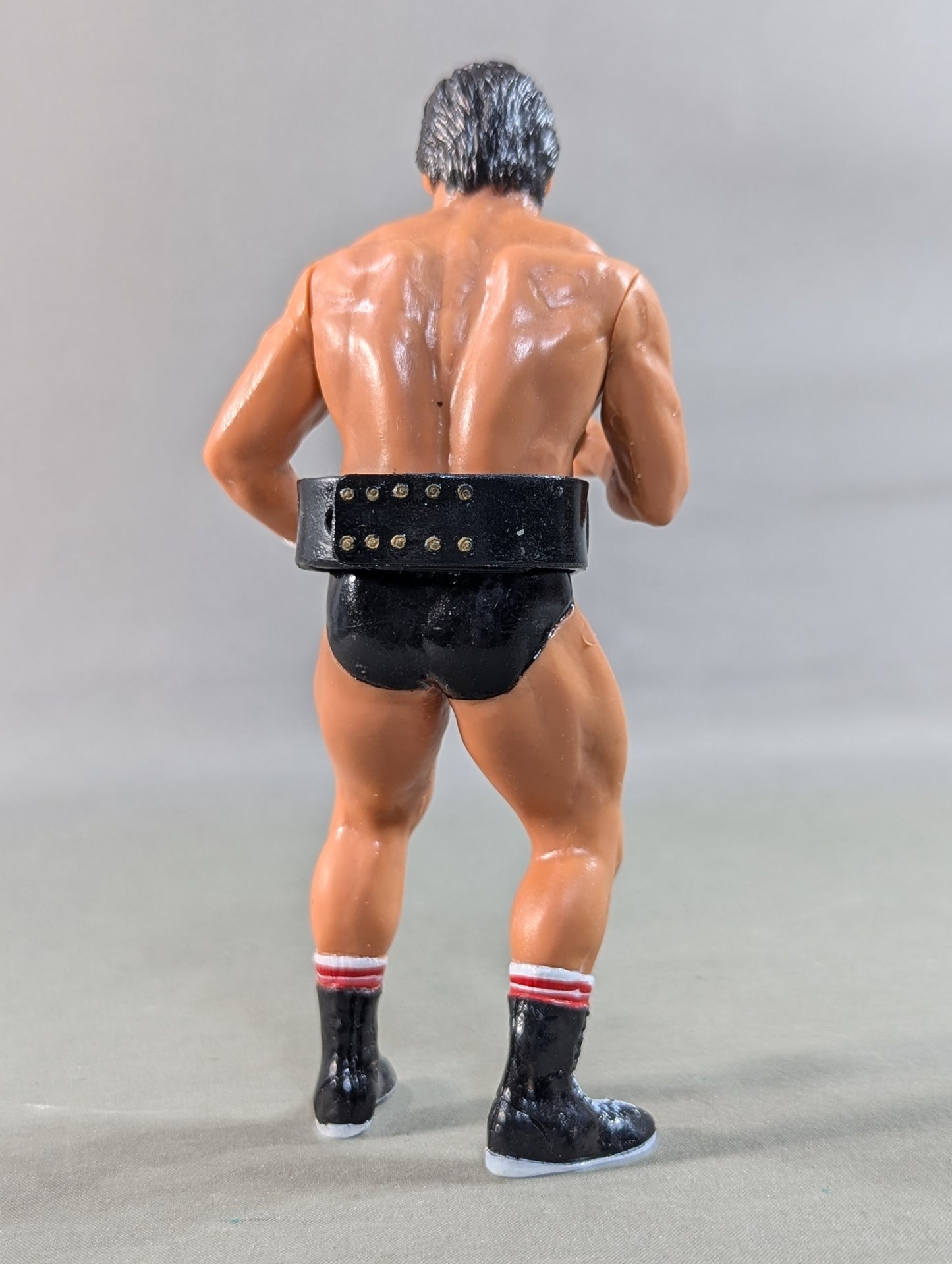 藤波辰巳(WWWFジュニア・ヘビー級ベルト)