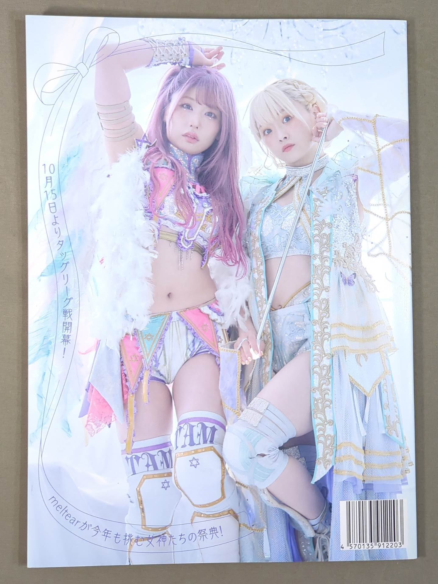 STARDOM OFFICIAL GUIDE BOOK 5★STAR GP 2023 Special