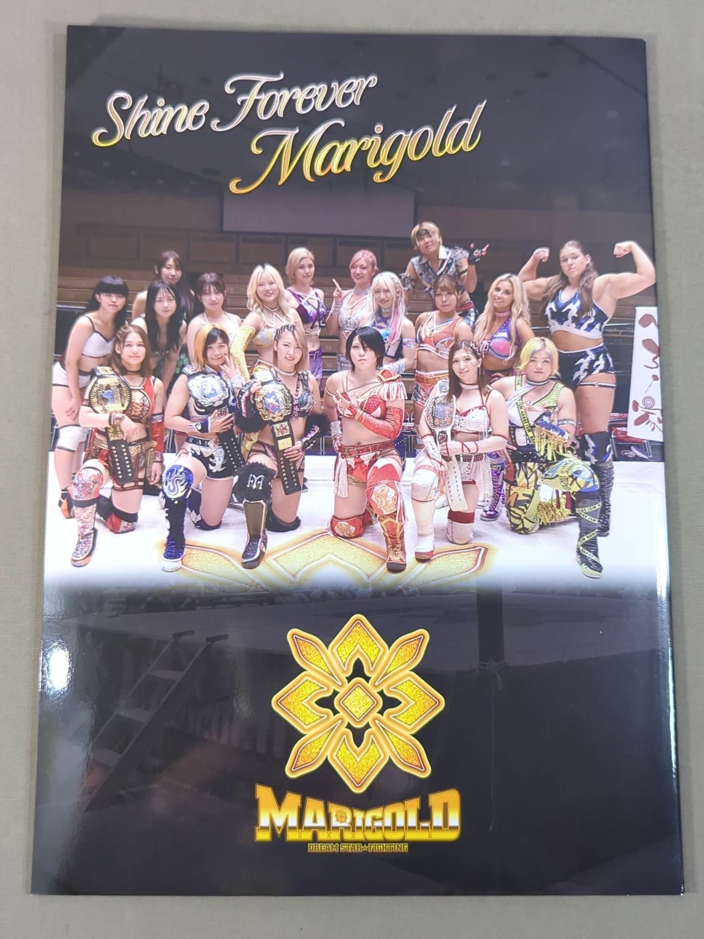 Marigold / MARIGOLD GUIDE BOOK Vol.5 ~FANTASTIC ADVENTURE~